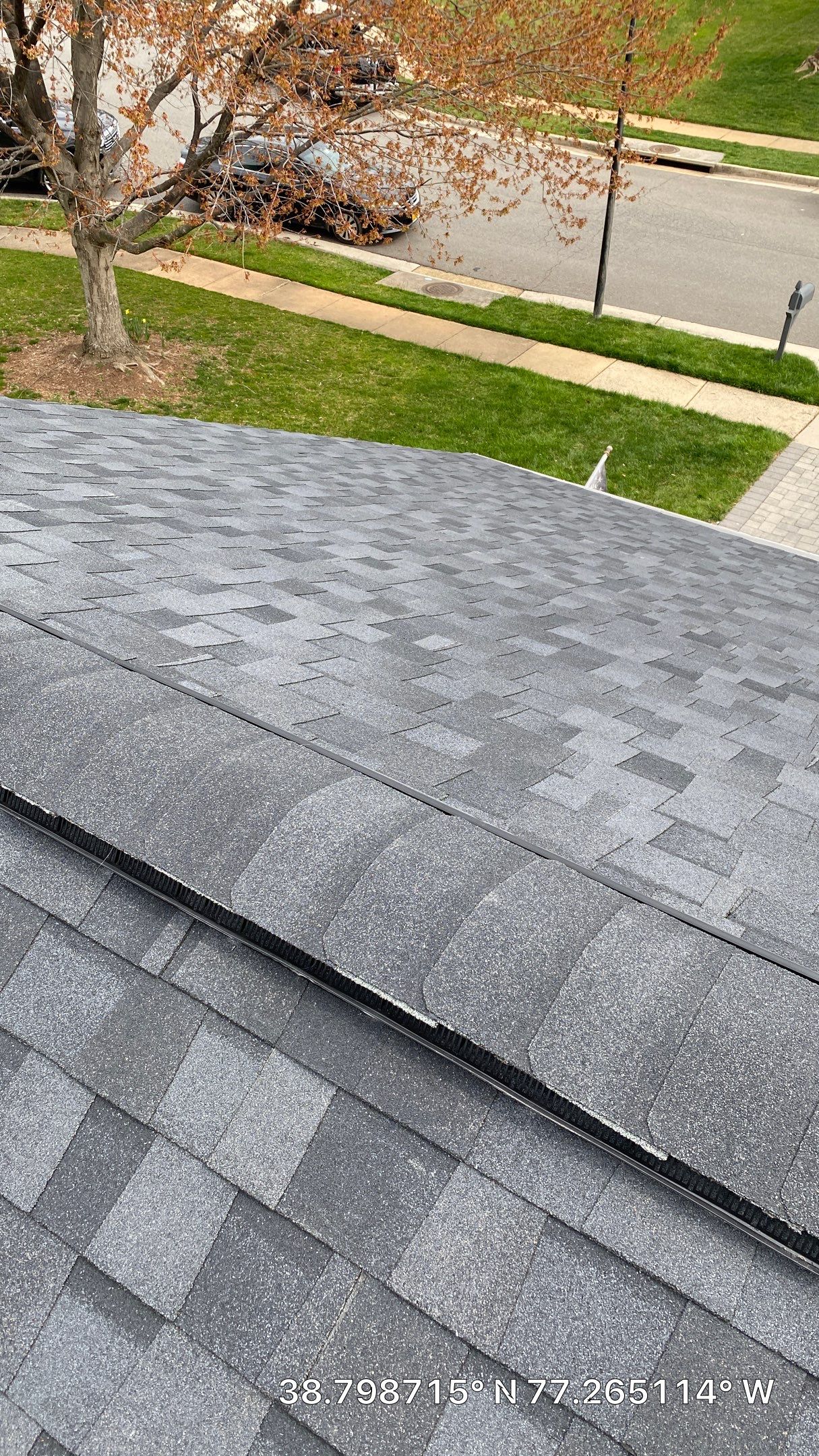 Burke - Certainteed Landmark Pro Max Def Moire Black  by RM Banning, Inc.