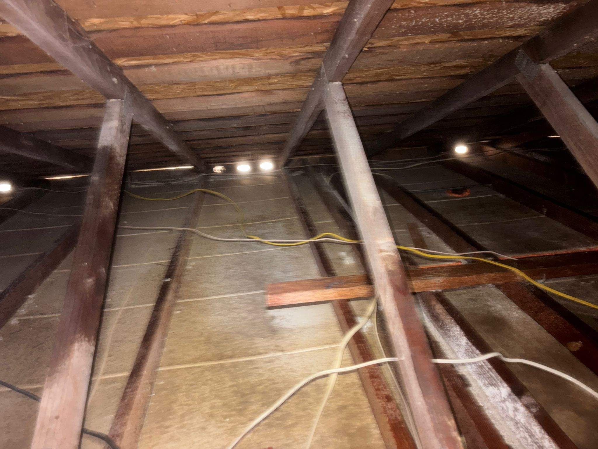 Project in Westminster by Insulation Labs