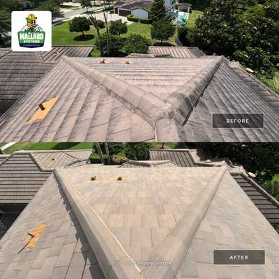 Flat Tile Roof Cleaning