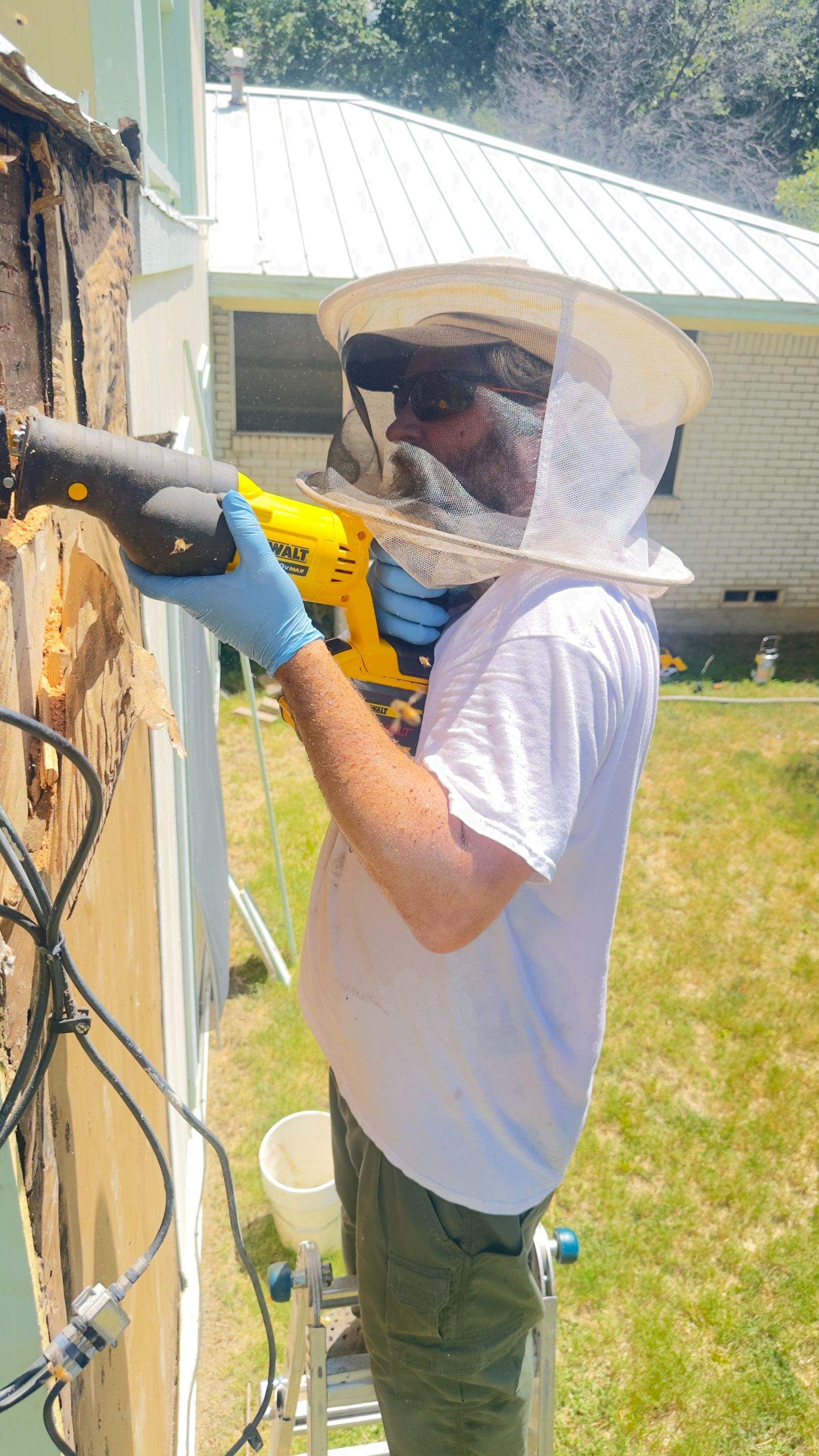 Walled in by Rockwall Honey Bee Company