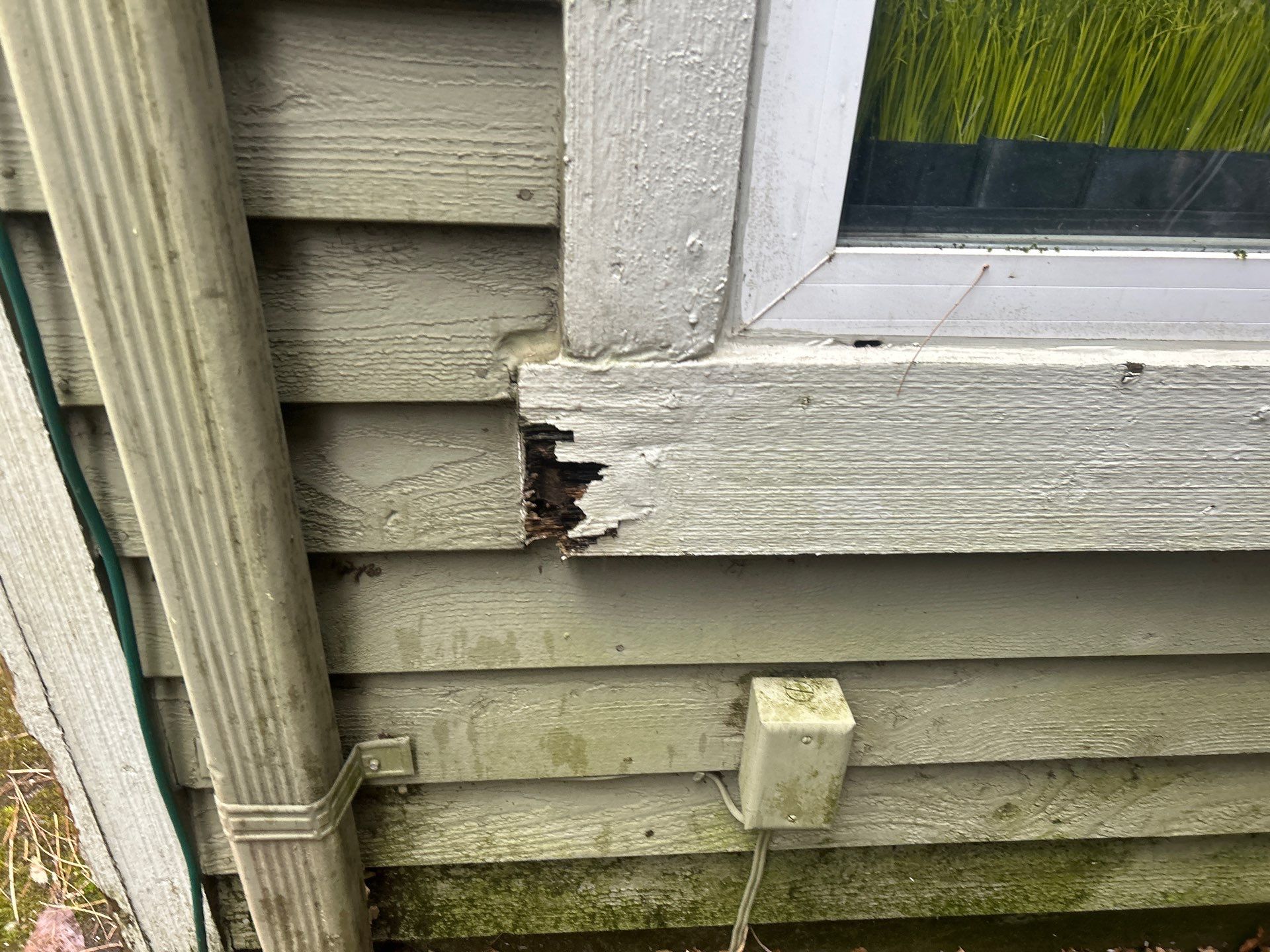 Project in Bellevue by Connolly Construction Company