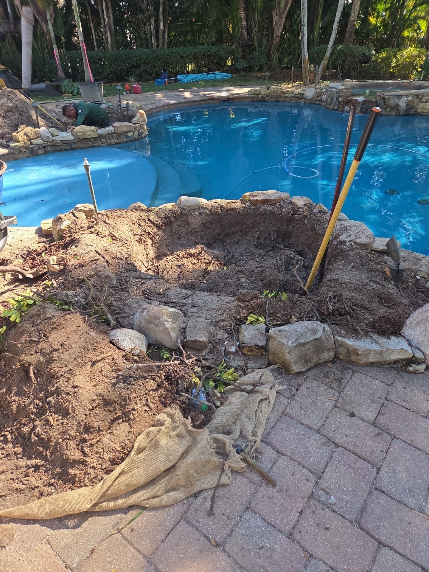 Palm Perfection & Poolside Restoration in Lighthouse Point by Alpha Zeta Enterprises Inc