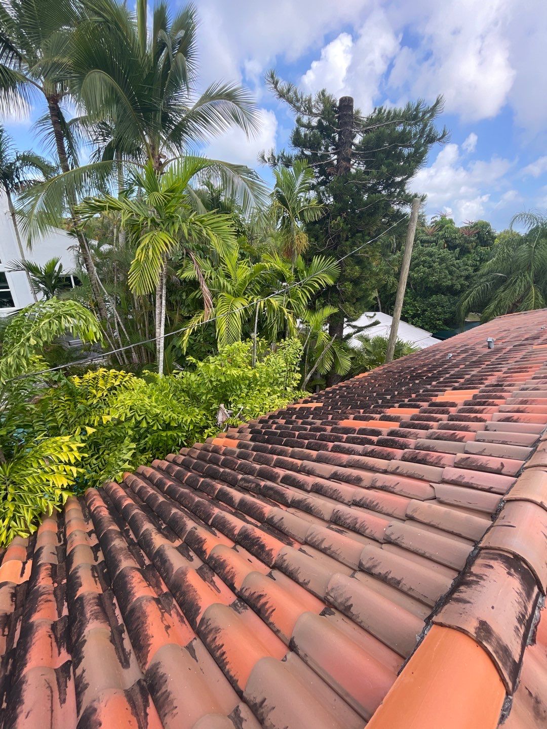 Crown Windsor Slate - Manatee Color by Istueta Roofing