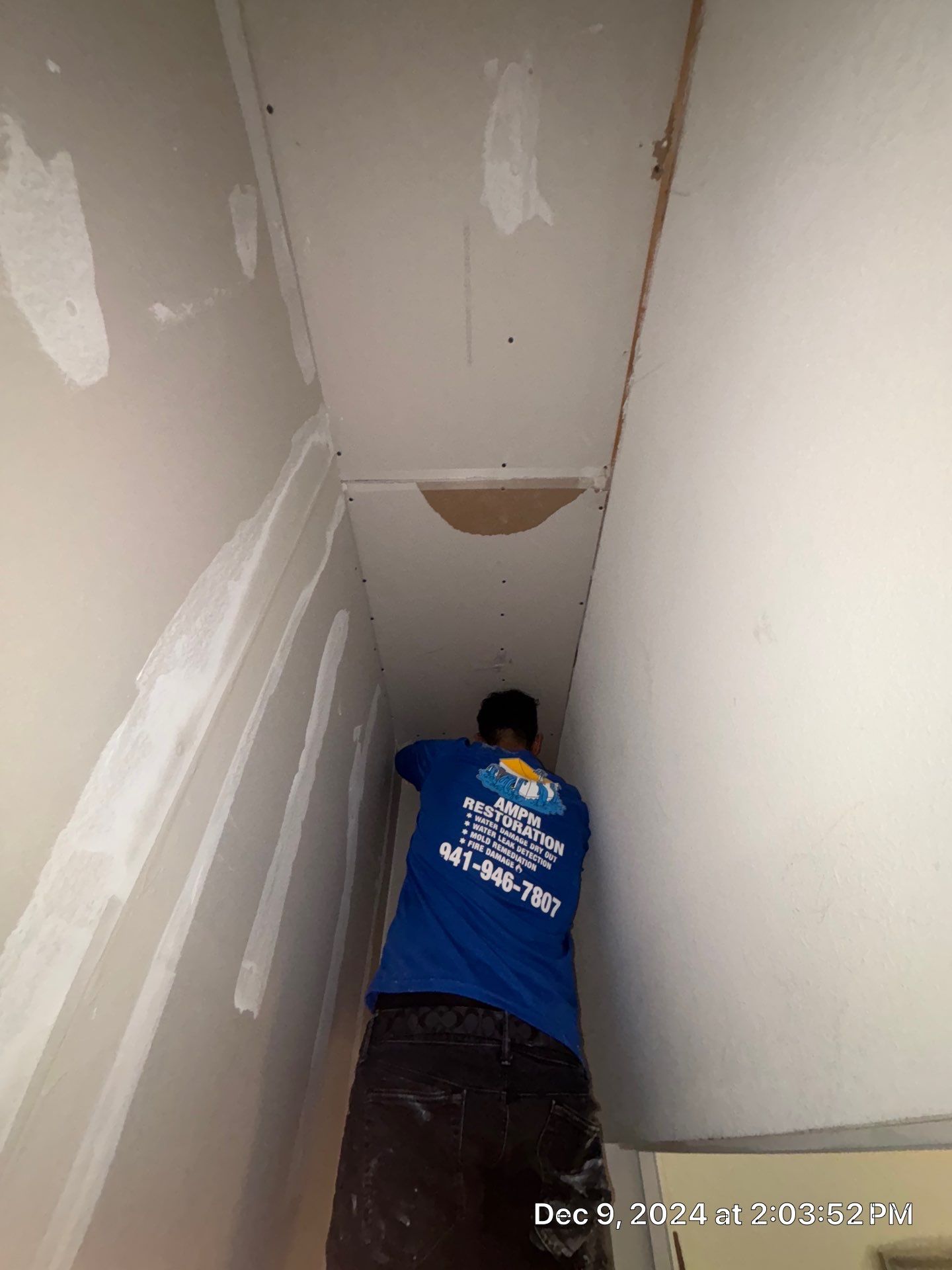Mold Damage Restoration In Osprey by Ampm Restoration Services