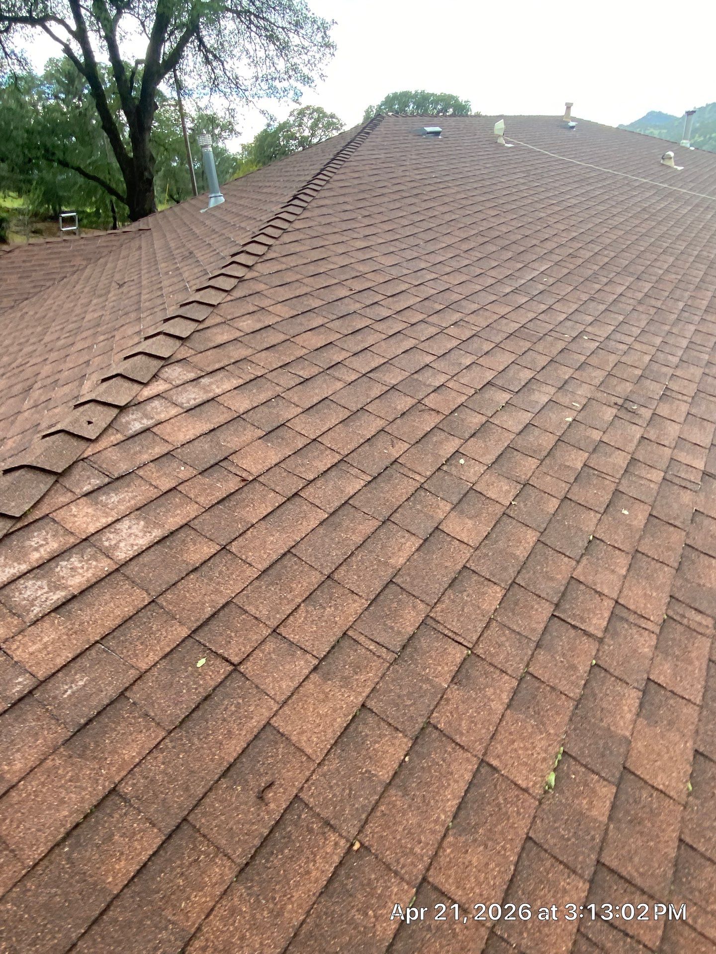 Roof Rejuvenation using Roof Maxx Treatment by Roof Maxx of Folsom