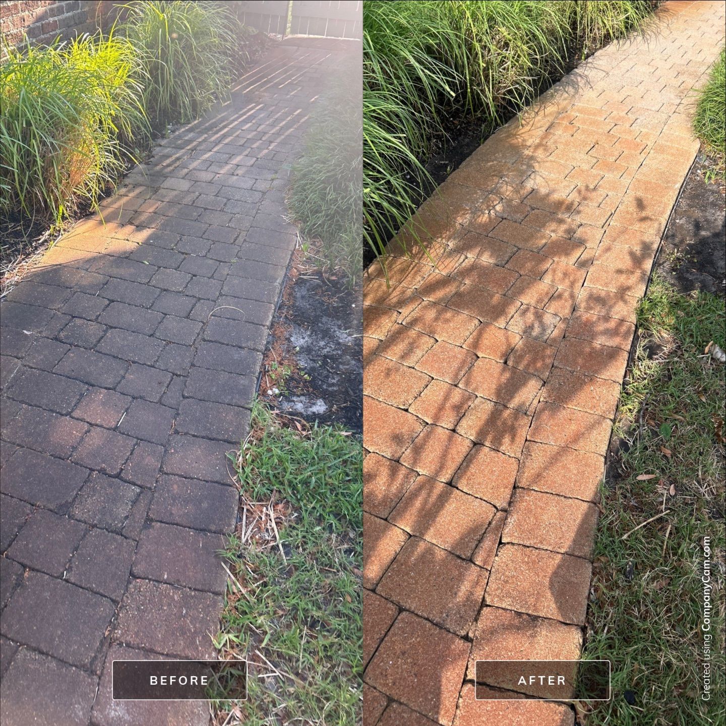 House Washing in Wilmington by Shark Power Washing