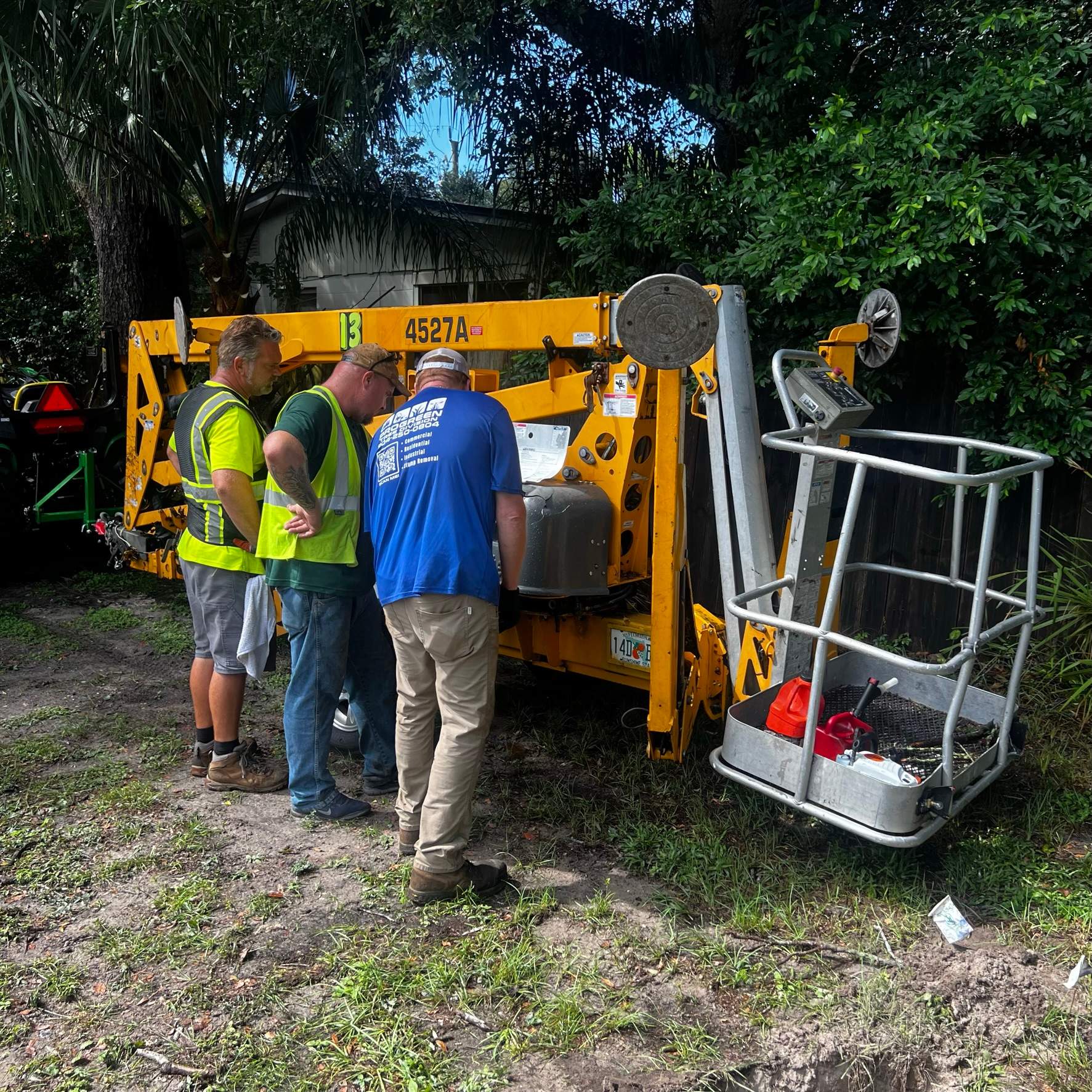 Tree Removal | Residential by ProGreen Services