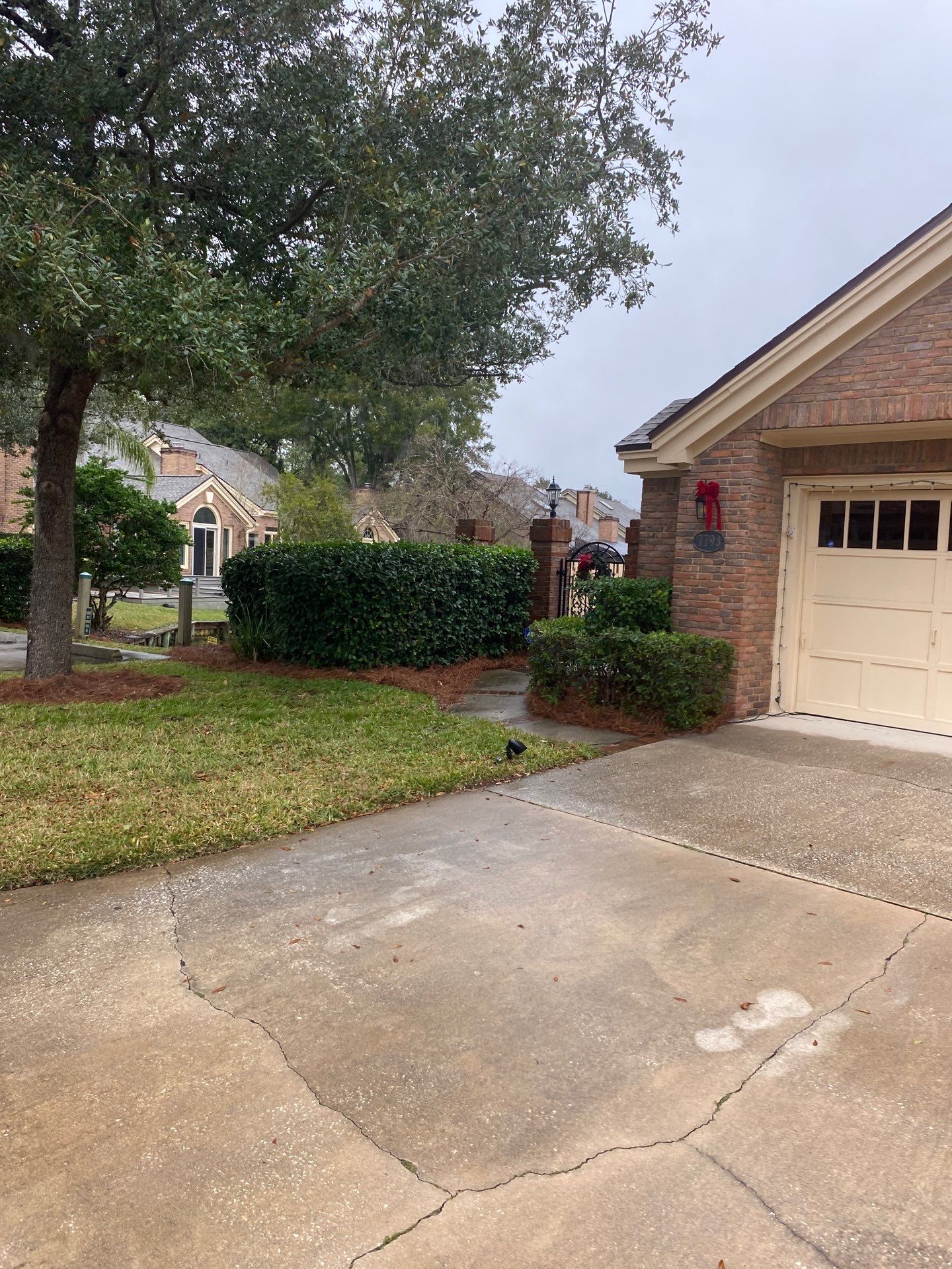 Deerwood Pointe | Tree Removal & Pine Straw Installation by ProGreen Services