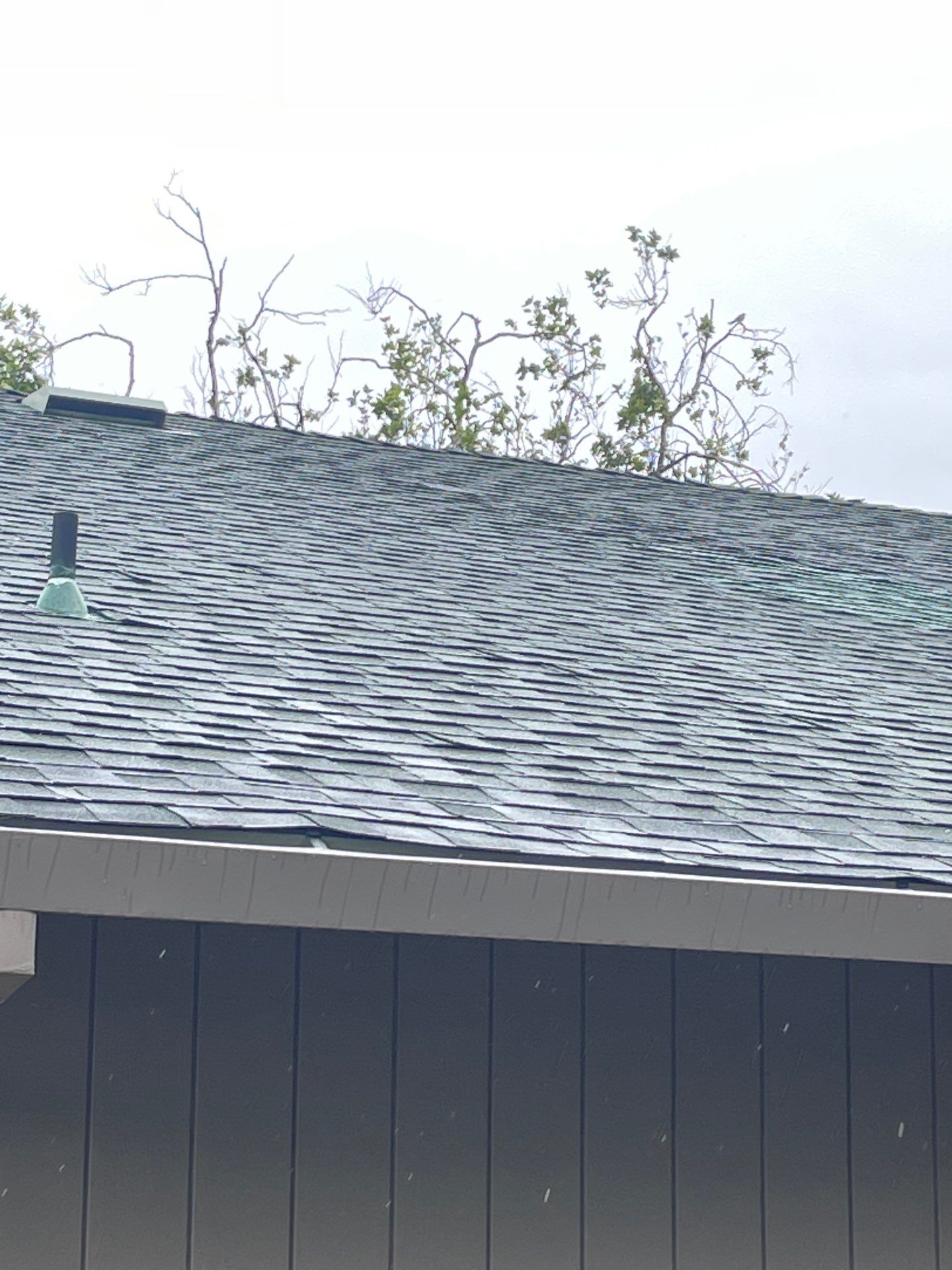 Roof Rejuvenation using Roof Maxx Treatment by Roof Maxx of Folsom