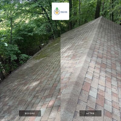 Asphalt Shingle Roof Cleaning and Debris Removal in Mills River
