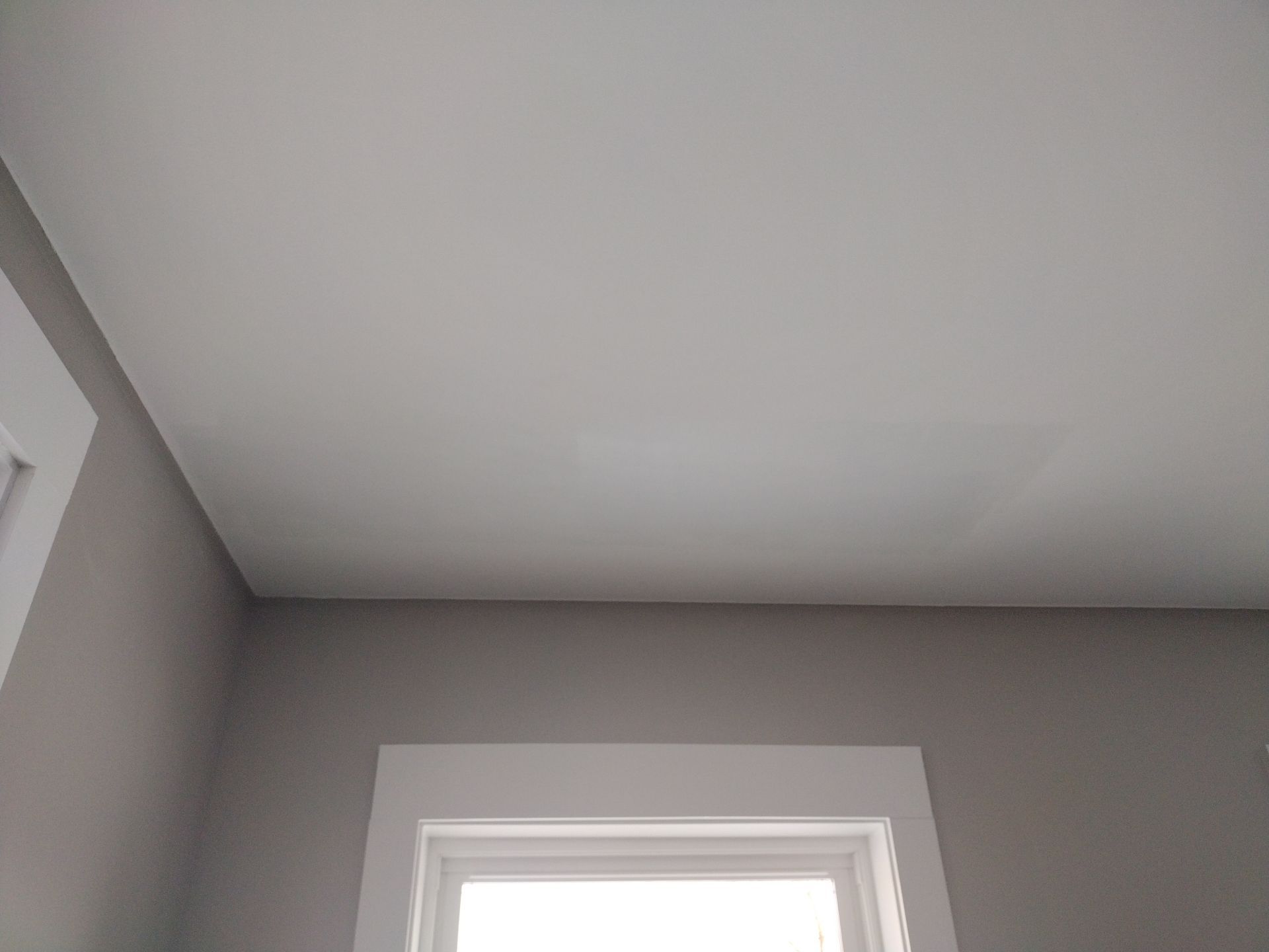 Puppy Room Conversion – Patio to Premium Pet Space by Johnny Five Construction 