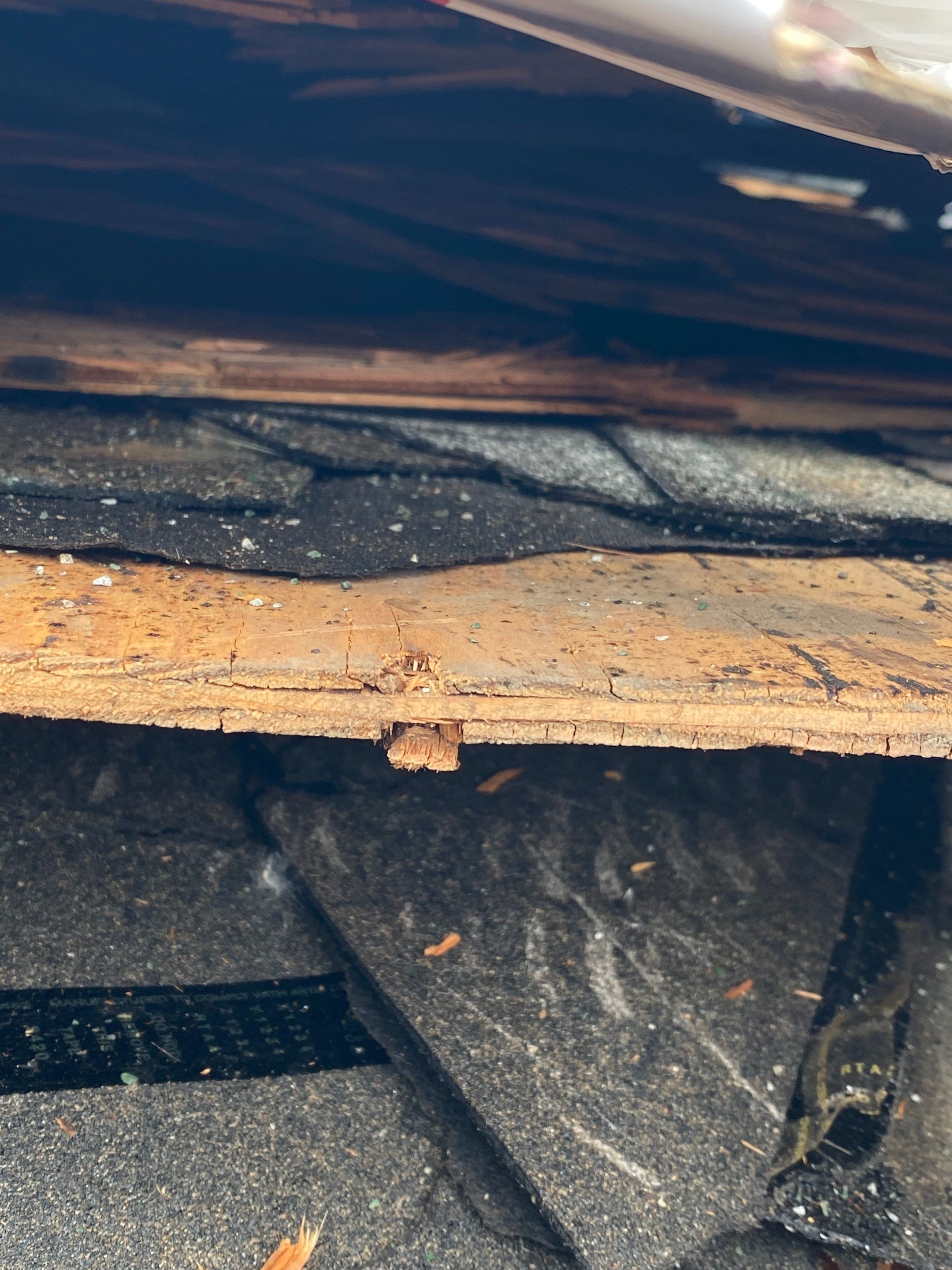 New Roof Installation using new OSB sheathing Certainteed Landmark Shingles by Best Roofing & Siding Company