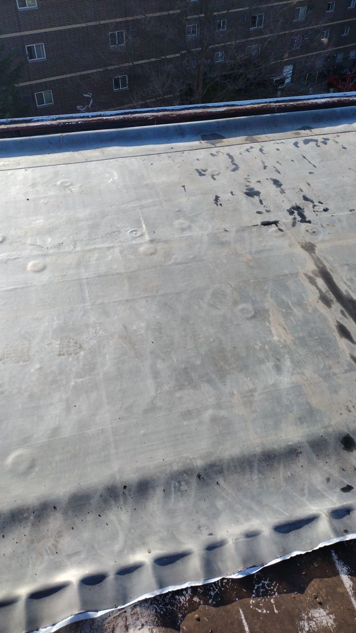 Commercial flat roof parma by Absolute Roofing and Construction