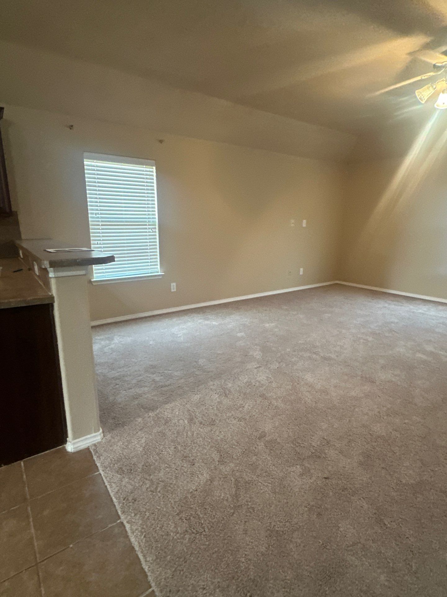 Project in McKinney by Rhino Roofing and General Contracting, LLC