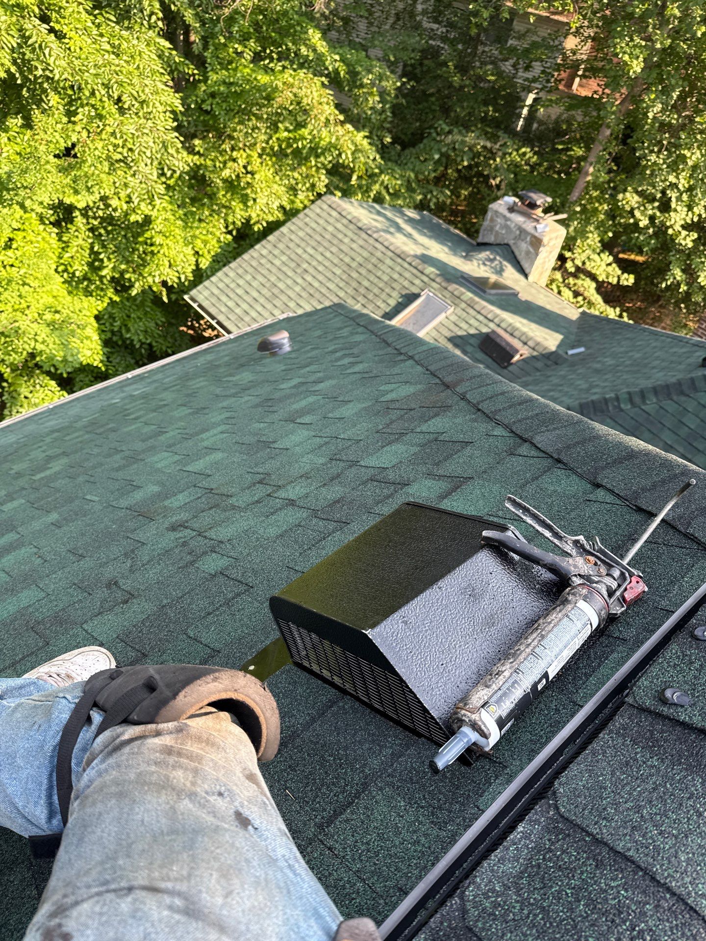 Springfield: Roof Replacement with CertainTeed Landmark Pro in Max Def Evergreen by RM Banning, Inc.