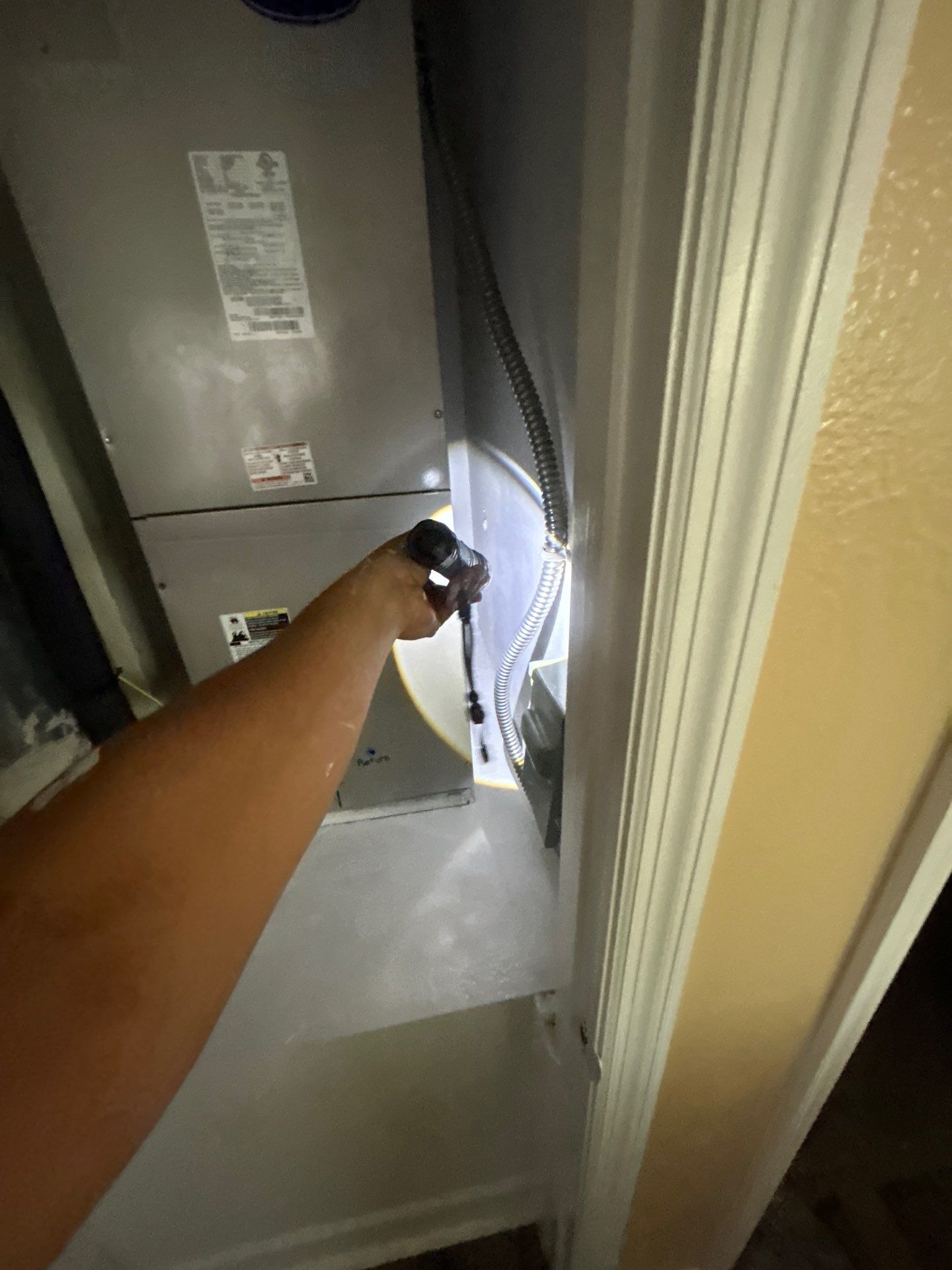 Sarasota Mold Damage by Ampm Restoration Services