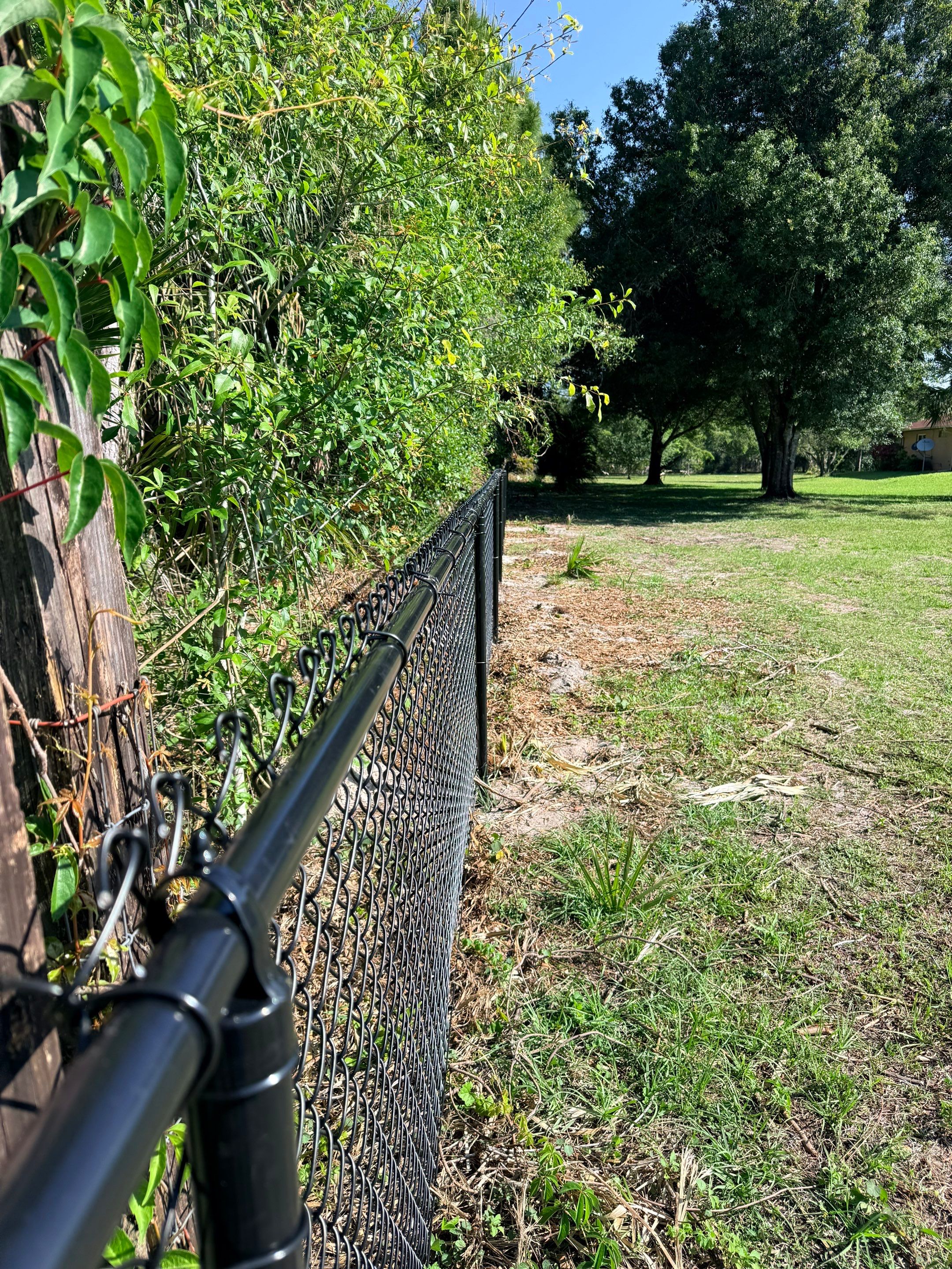 Chain Link Fence in Naples by True Fence LLC