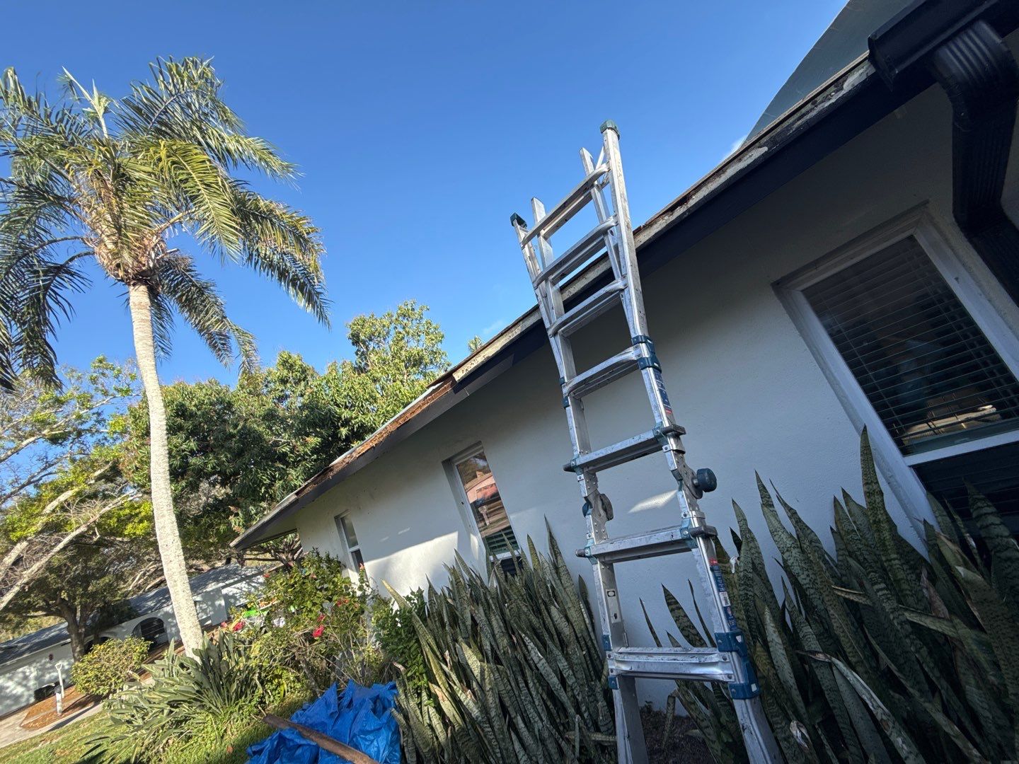 Project in Clearwater 33764 by Mitchell Roofing Company LLC