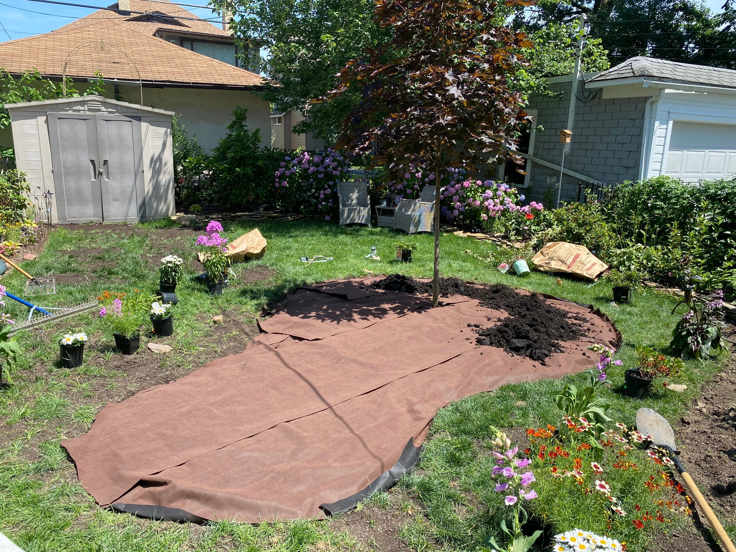 Woodland Island Project by Elm Rose Gardens