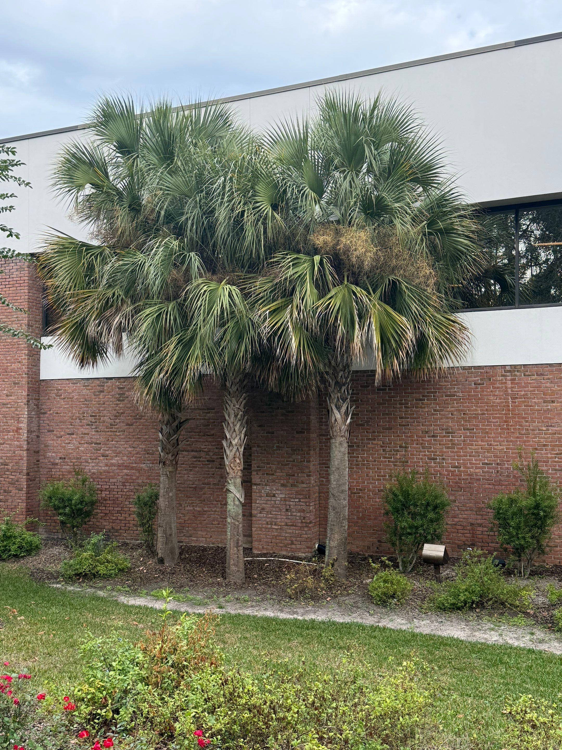 Volunteer Work | Episcopal High School of Jacksonville by ProGreen Services