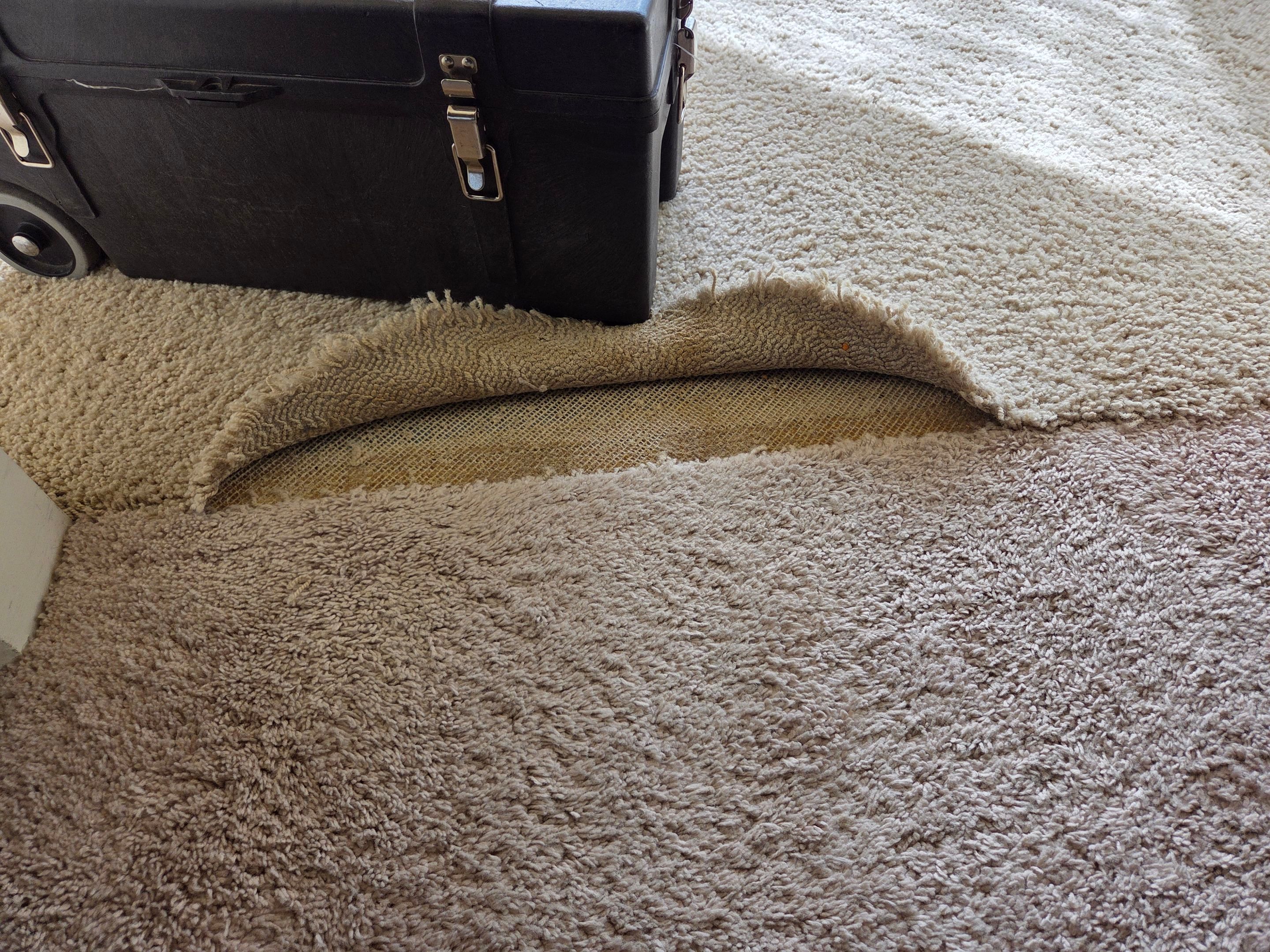 Carpet Cleaning and Stain Removal in Shingle Springs by Ardent Carpet Restore LLC