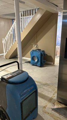 Mold Remediation in Bethpage NY 