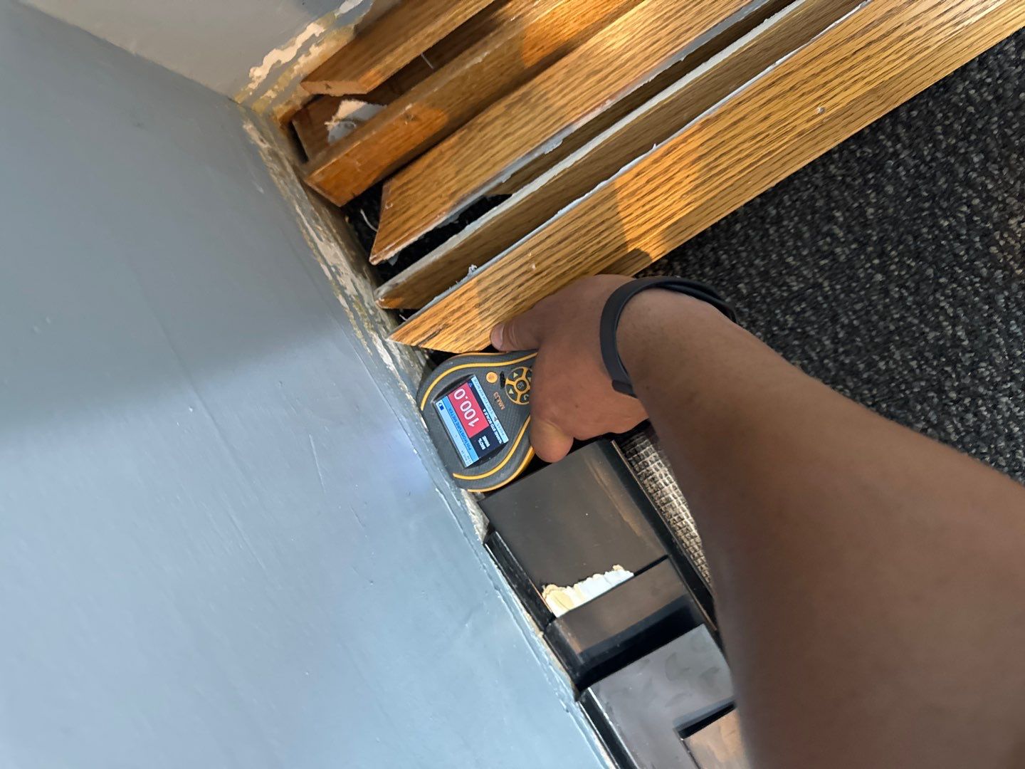 Project in Ann Arbor by EzDry Water Mitigation & Property Restoration