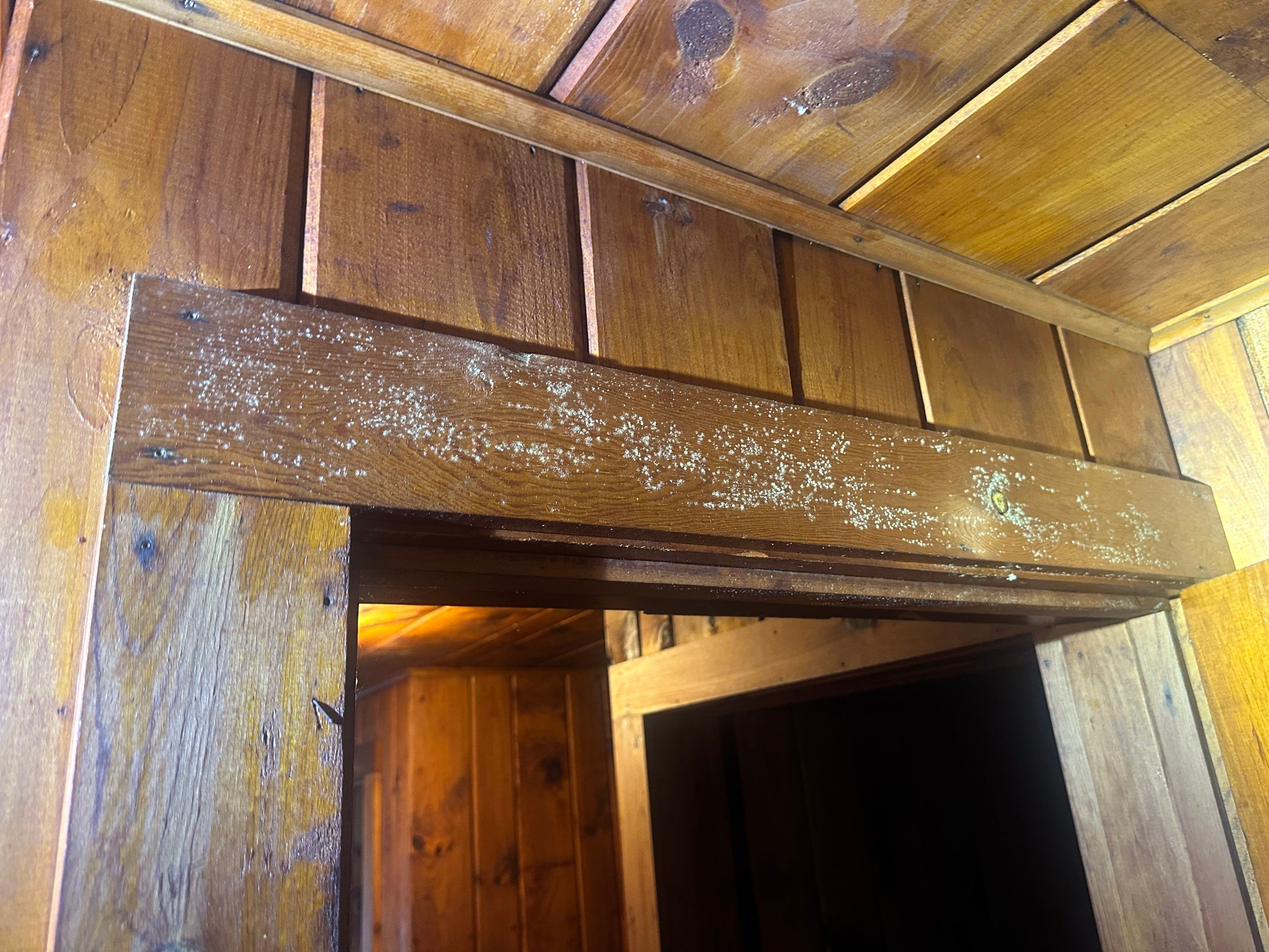 Entire Home Remediation by Home Guarantee, LLC