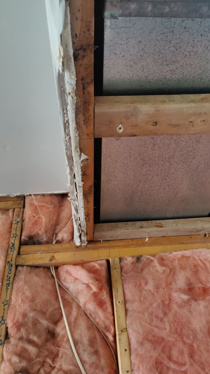 Water Damage  by Accountable Home Services