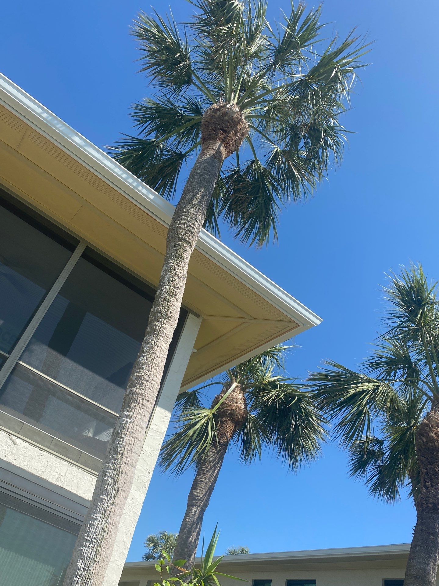 Commercial Gutter Systems for Businesses in Holmes Beach FL by Gutter Professors