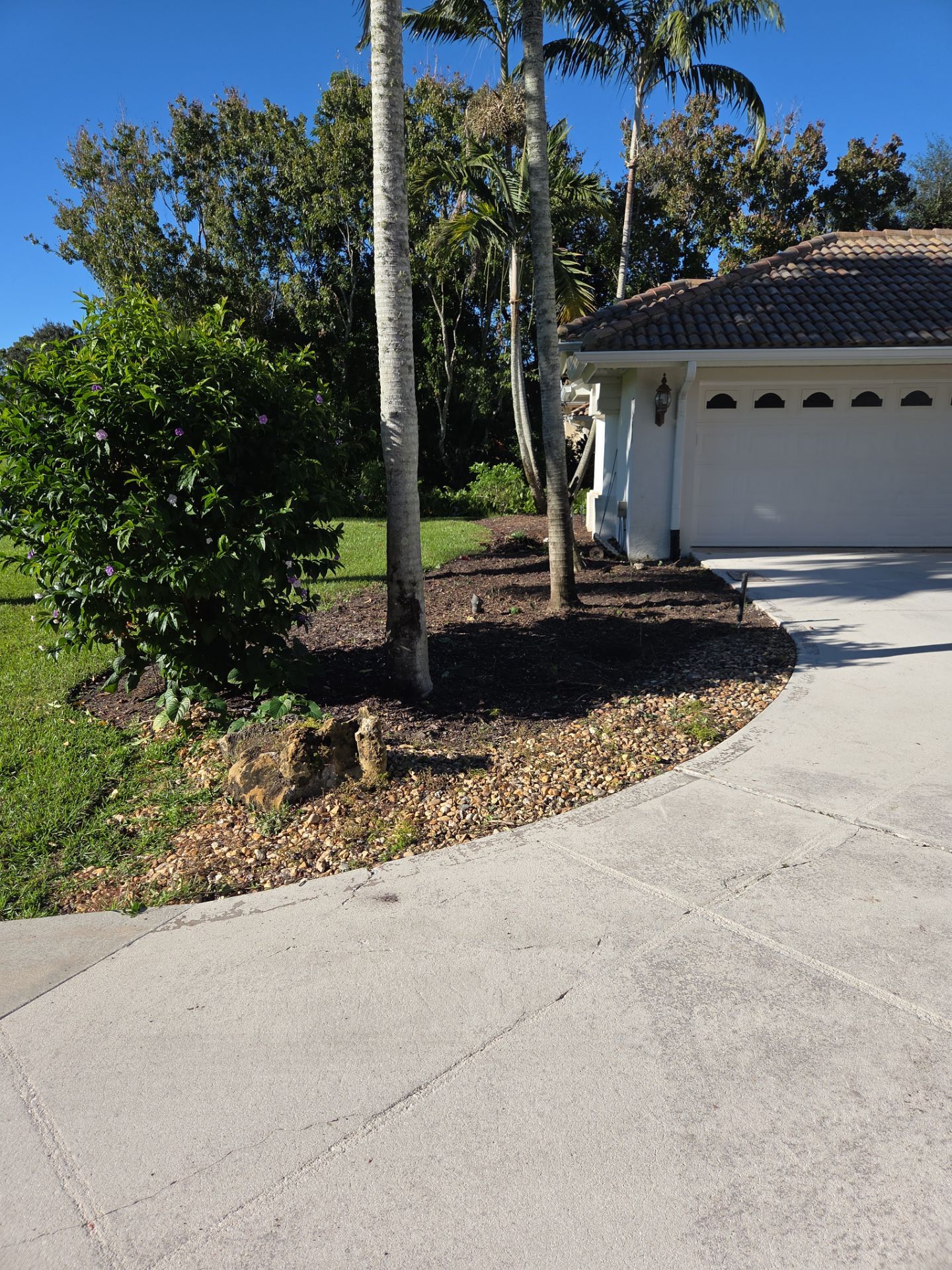 🌴 Landscape Removal and Install in Palm City by Alpha Zeta Enterprises Inc