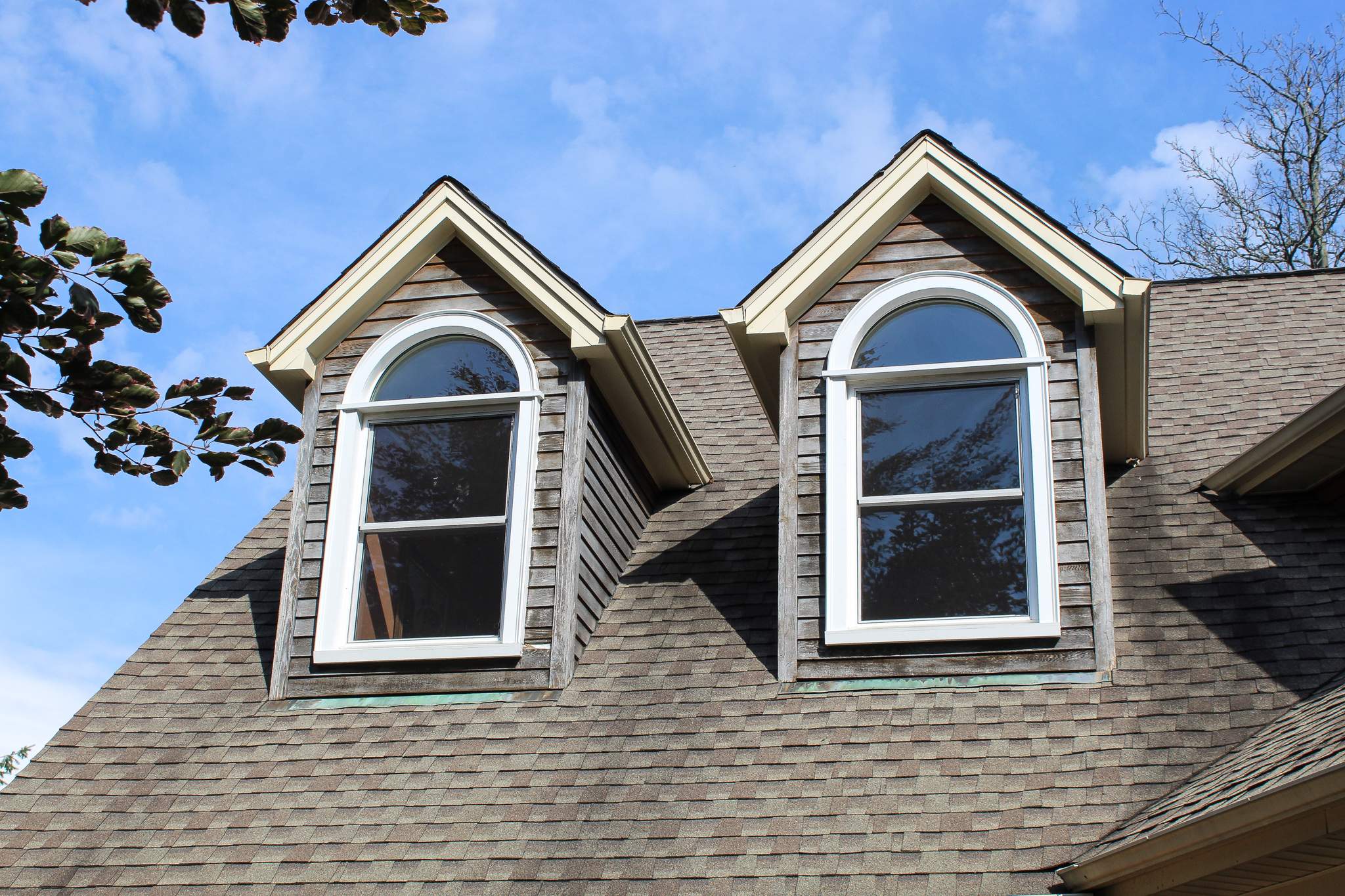 Window Replacement by Ivy Lea Construction