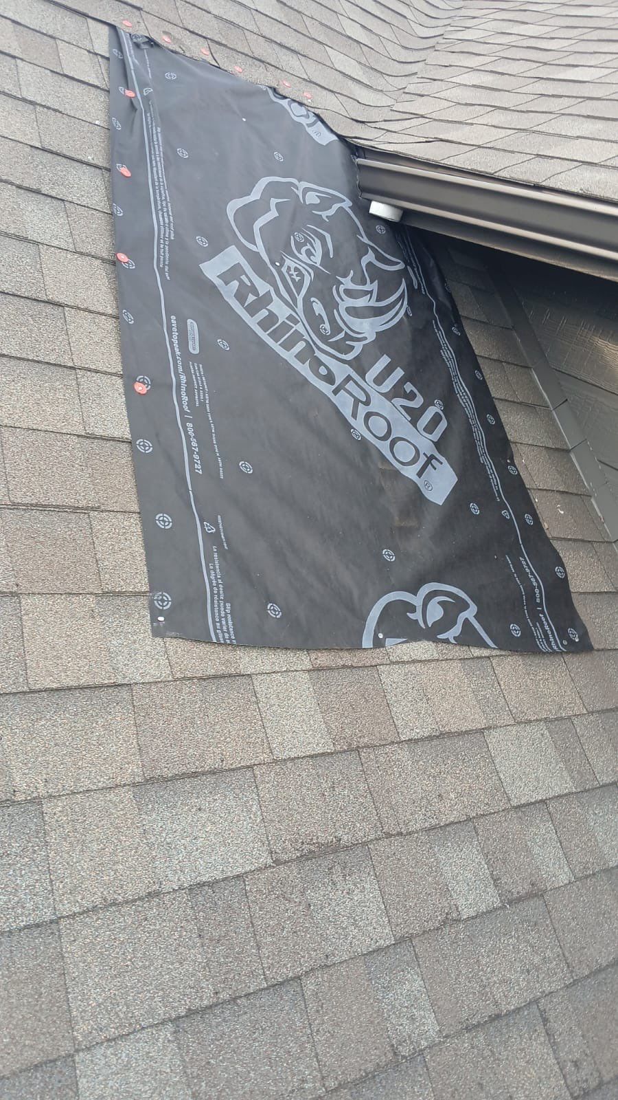 Hail Damage using Owen's Corning Duration (Lifetime) Shingles by Roof Repair Company