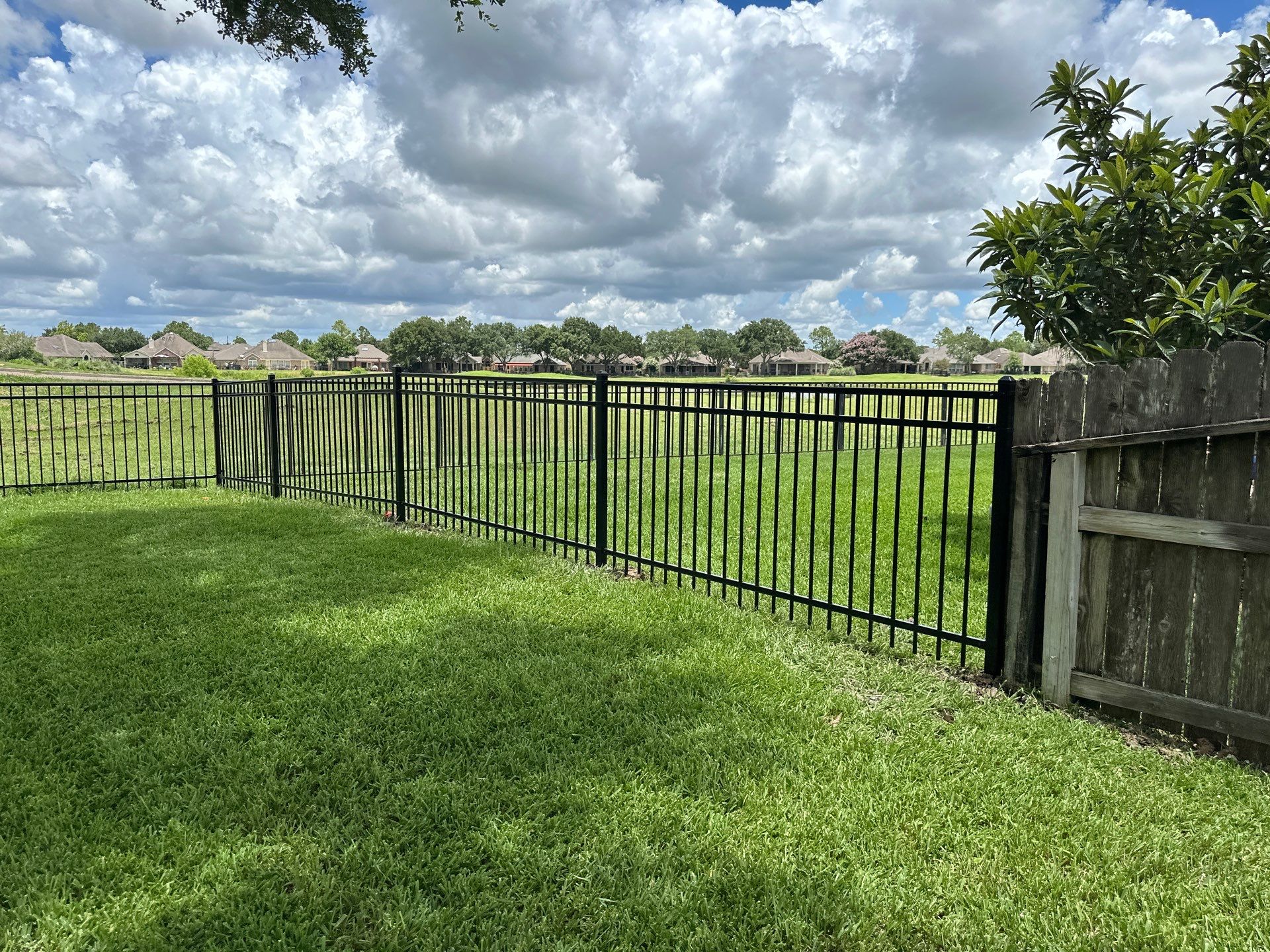 Stunning iron installation in Pearland by Tim's Fences