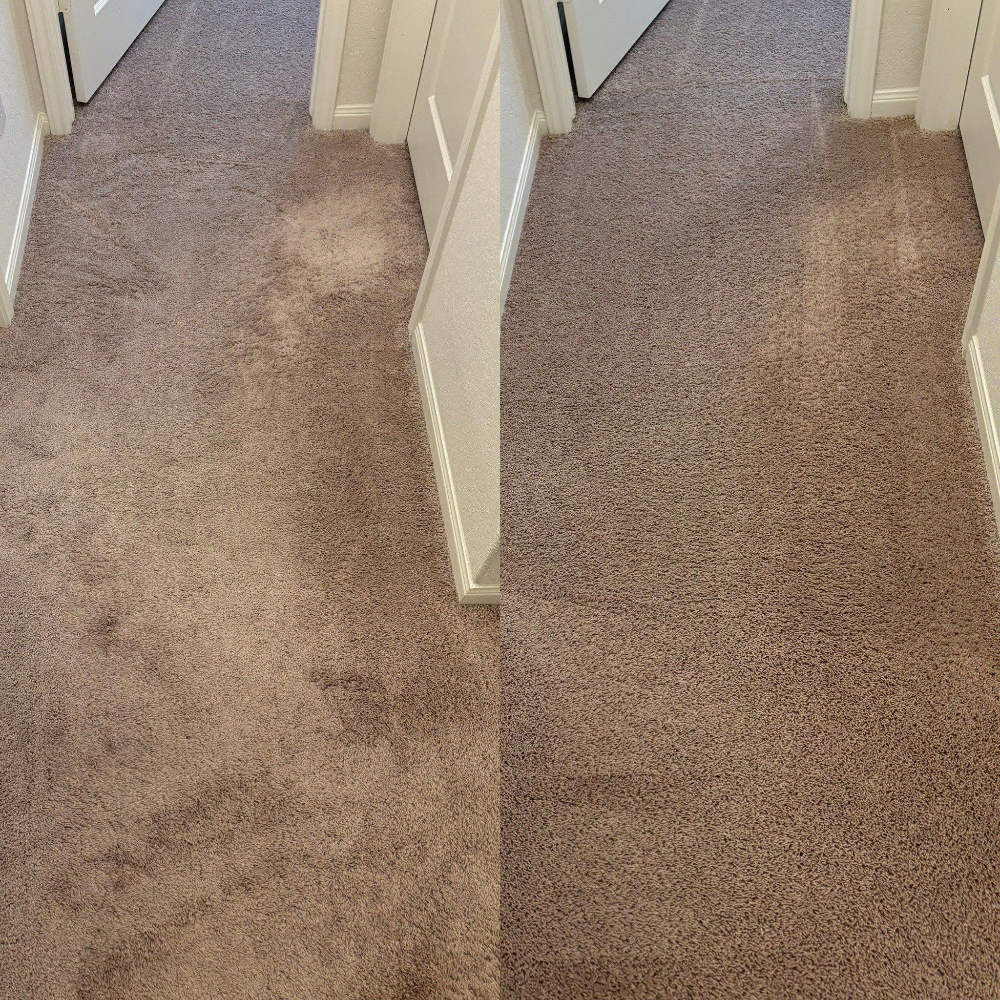 the service being done is deep carpet cleaning removing stains and dirt for a refreshed appearance