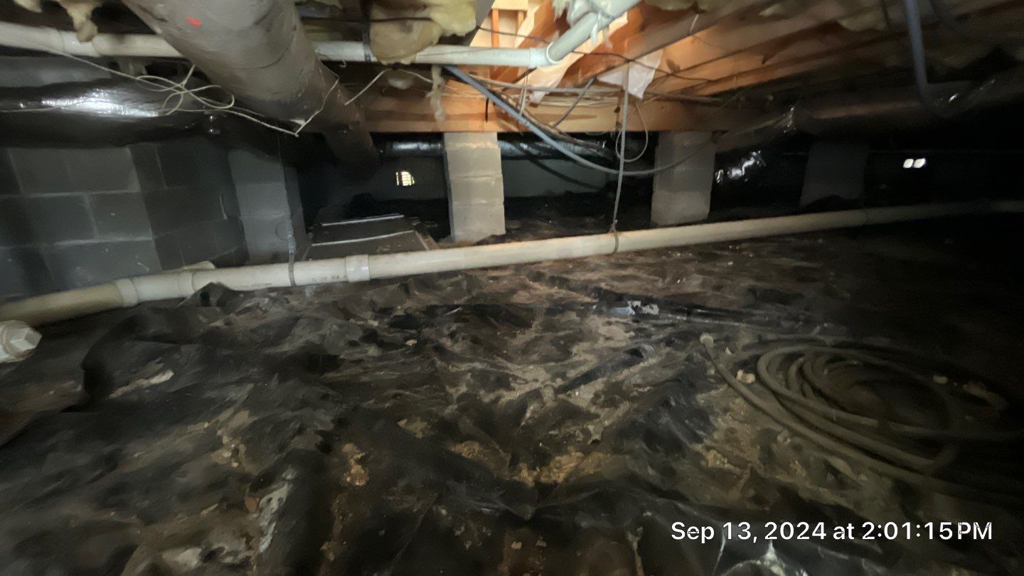 Limited Mold Remediation by EAS Environmental, LLC.