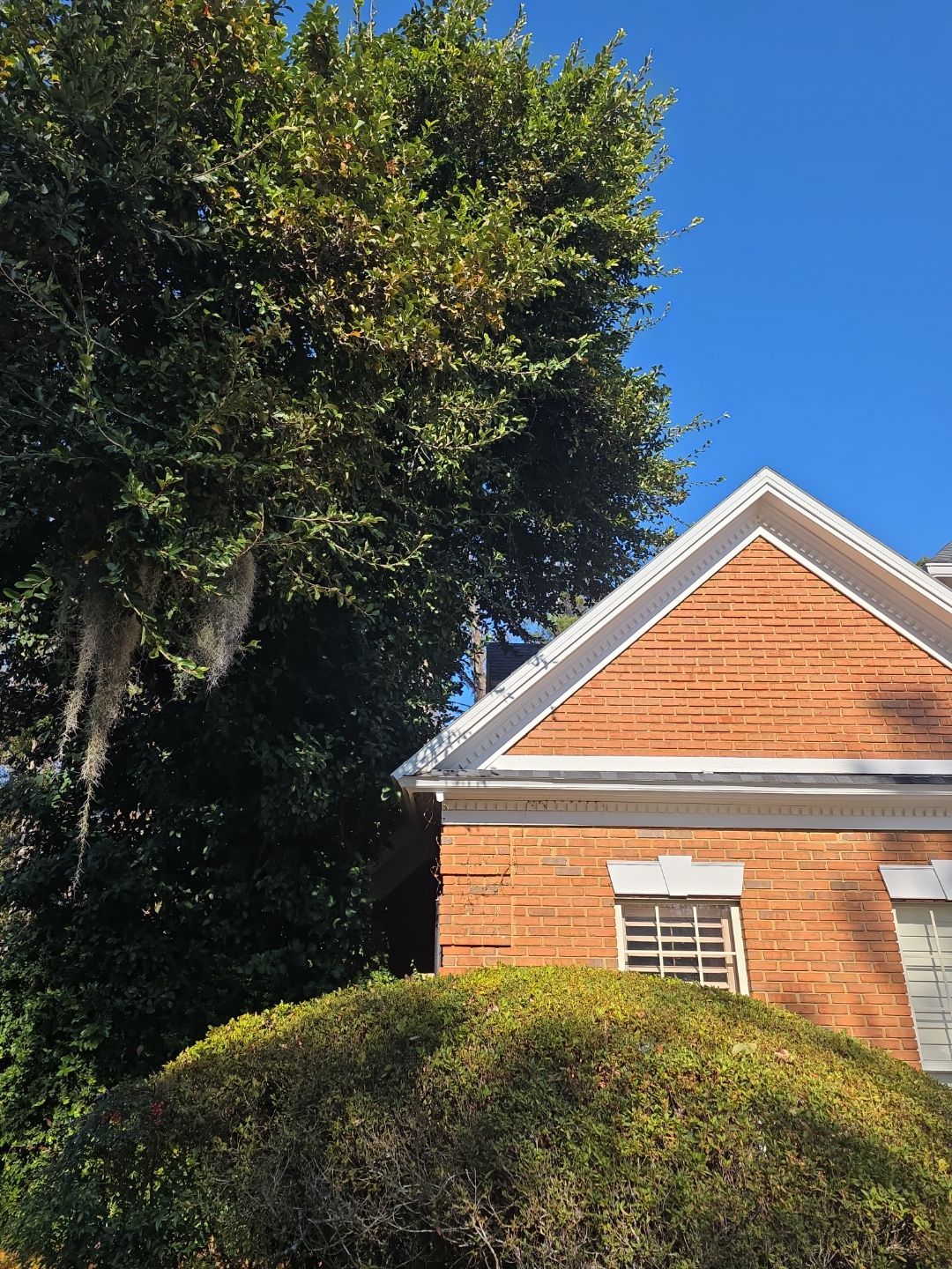 Deerwood Resident | Tree Service by ProGreen Services