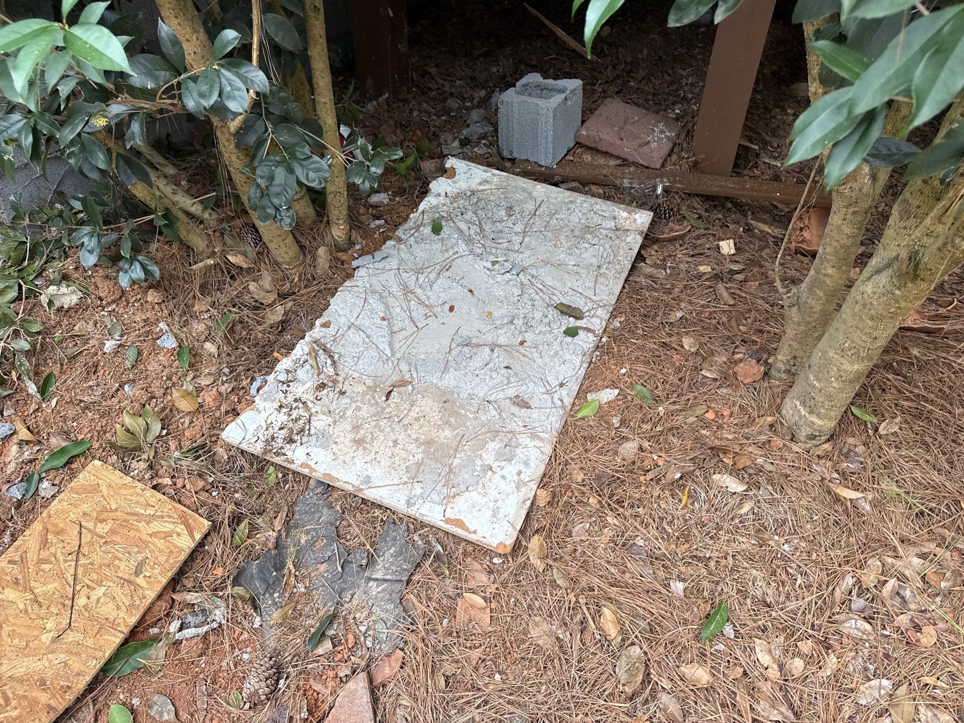 Project in Charlotte by Badger Hauling