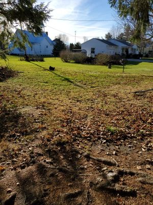 Storm Damaged Tree Removal  using Tree Removal