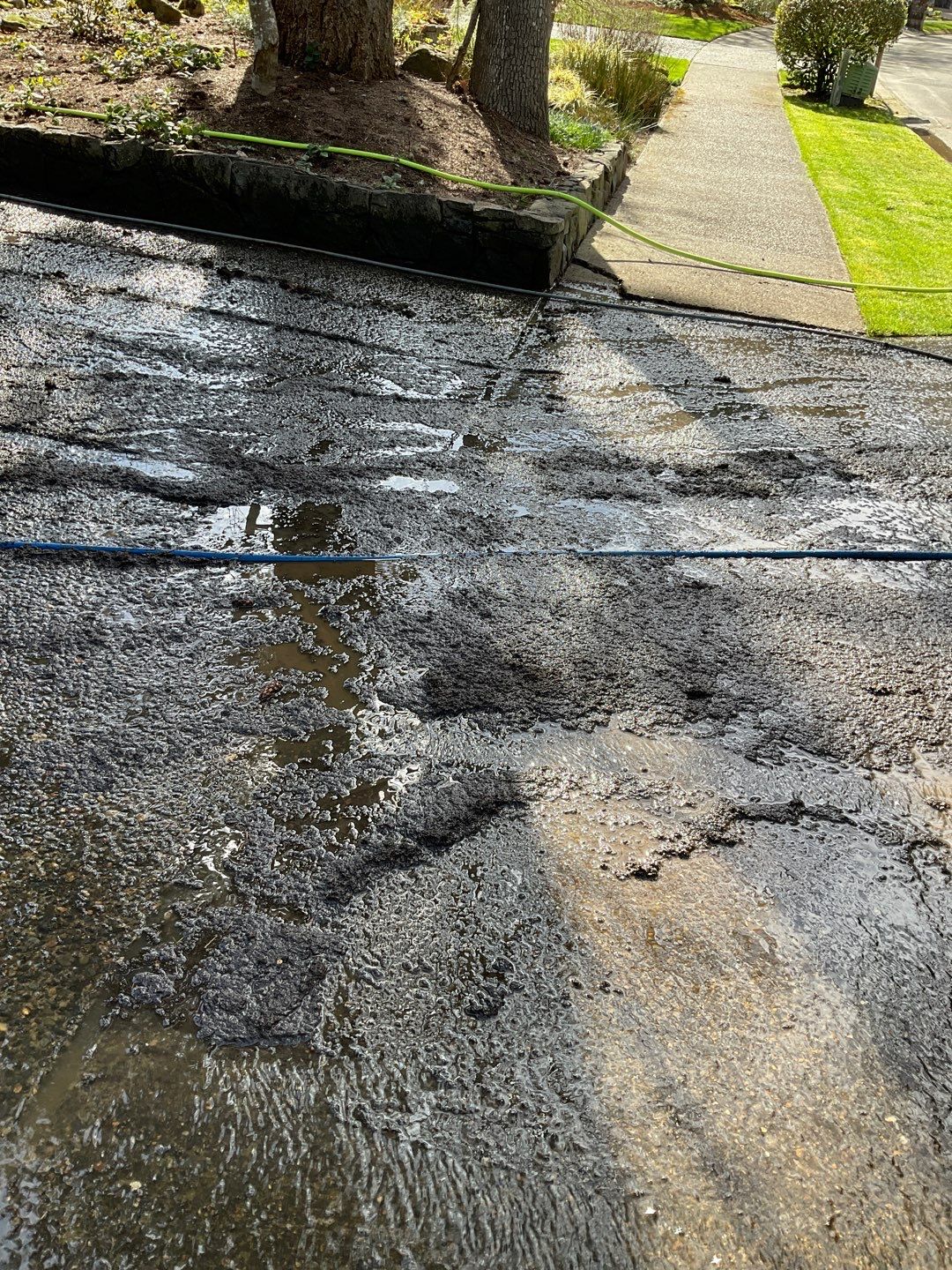 Roof Treatment and Driveway Wash Using Biocide by Willamette Outdoor Wash LLC