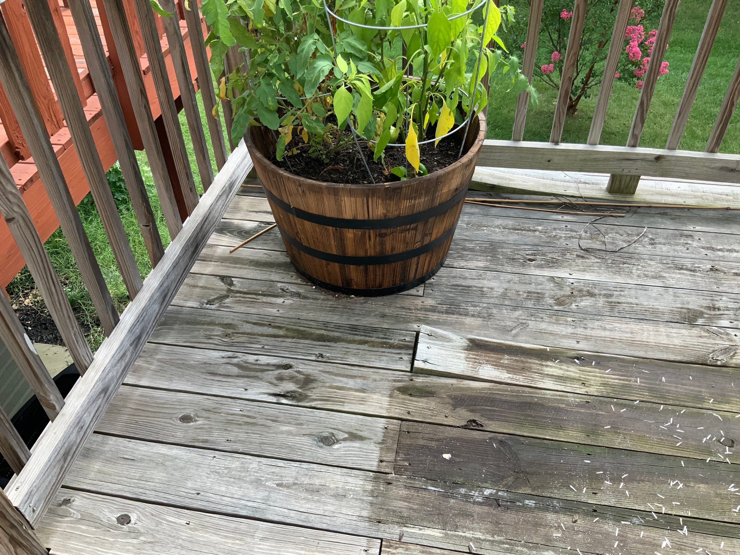 Deck Repair using Olympic Elite stains by Alpha Design Services