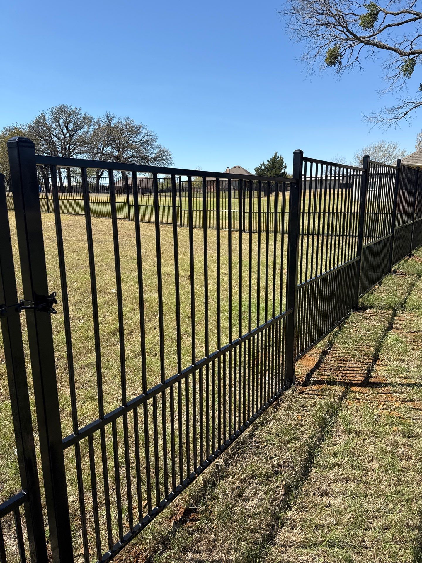 5' Wrought Iron with Puppy Bars Fence and Gate Installation in Joshua by Moseley Fence