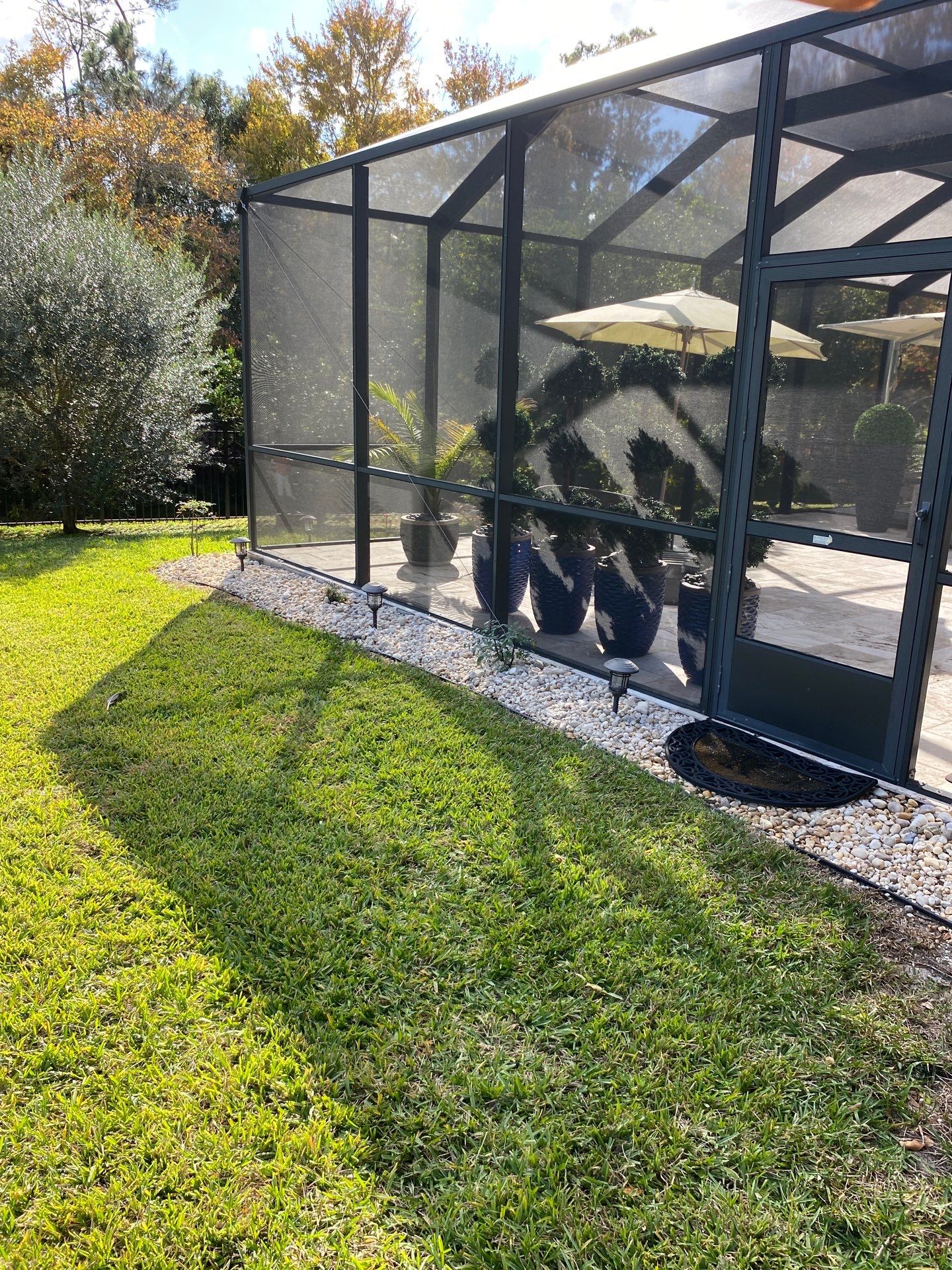 Deerwood Resident | Palm Trimming & Ground Cover by ProGreen Services
