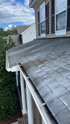 Project in Moseley