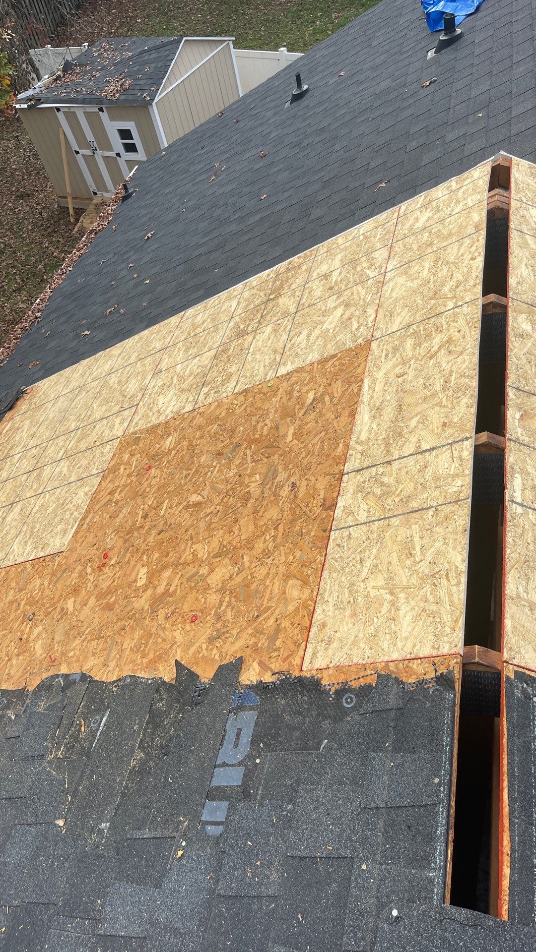 Roof replacement by wind damage and tree felling by Just Brilliant Restoration JBR