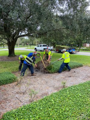 Deerwood Community | Island Landscape Replacement