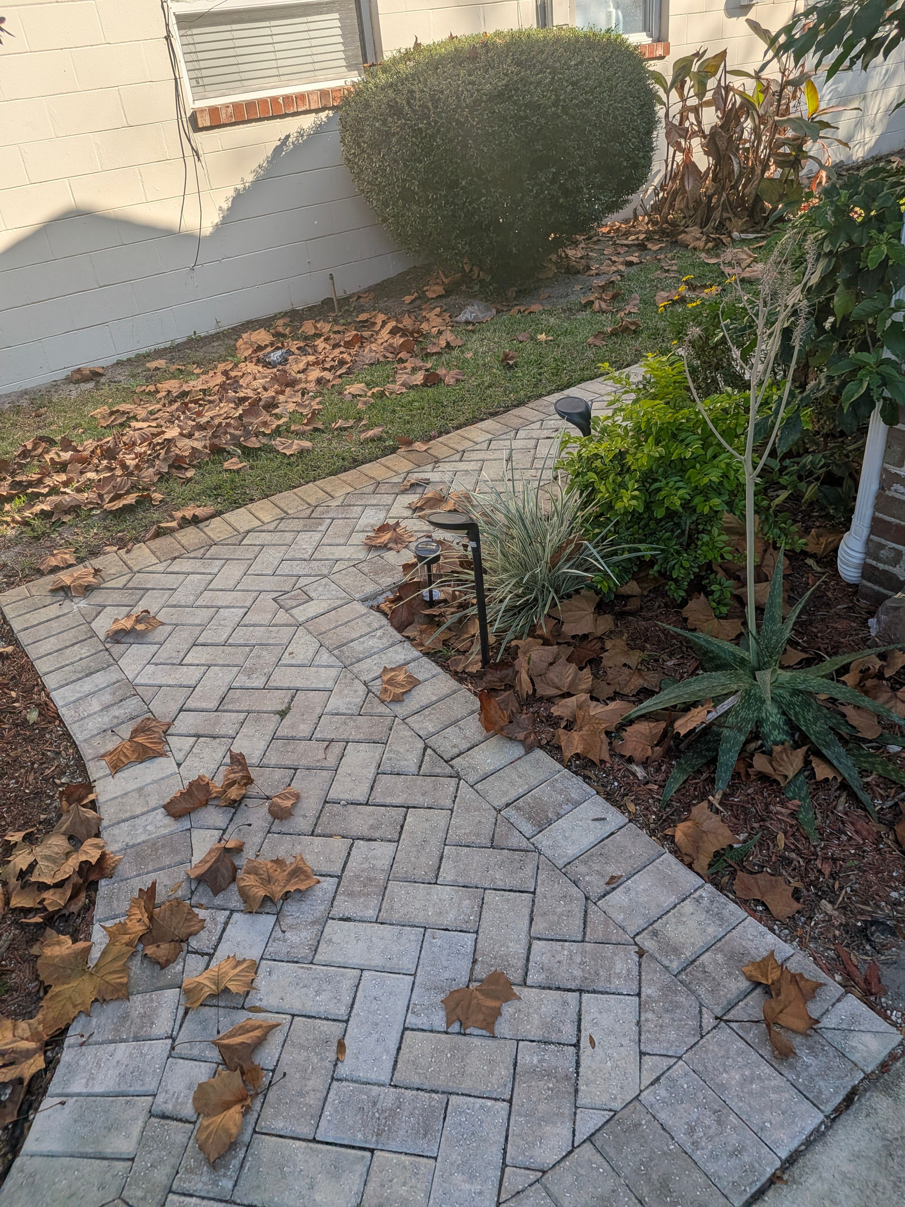 Large-Scale Leaf Removal & Property Cleanup — Jacksonville, FL (Arlington Area) by Harmoni Home Services