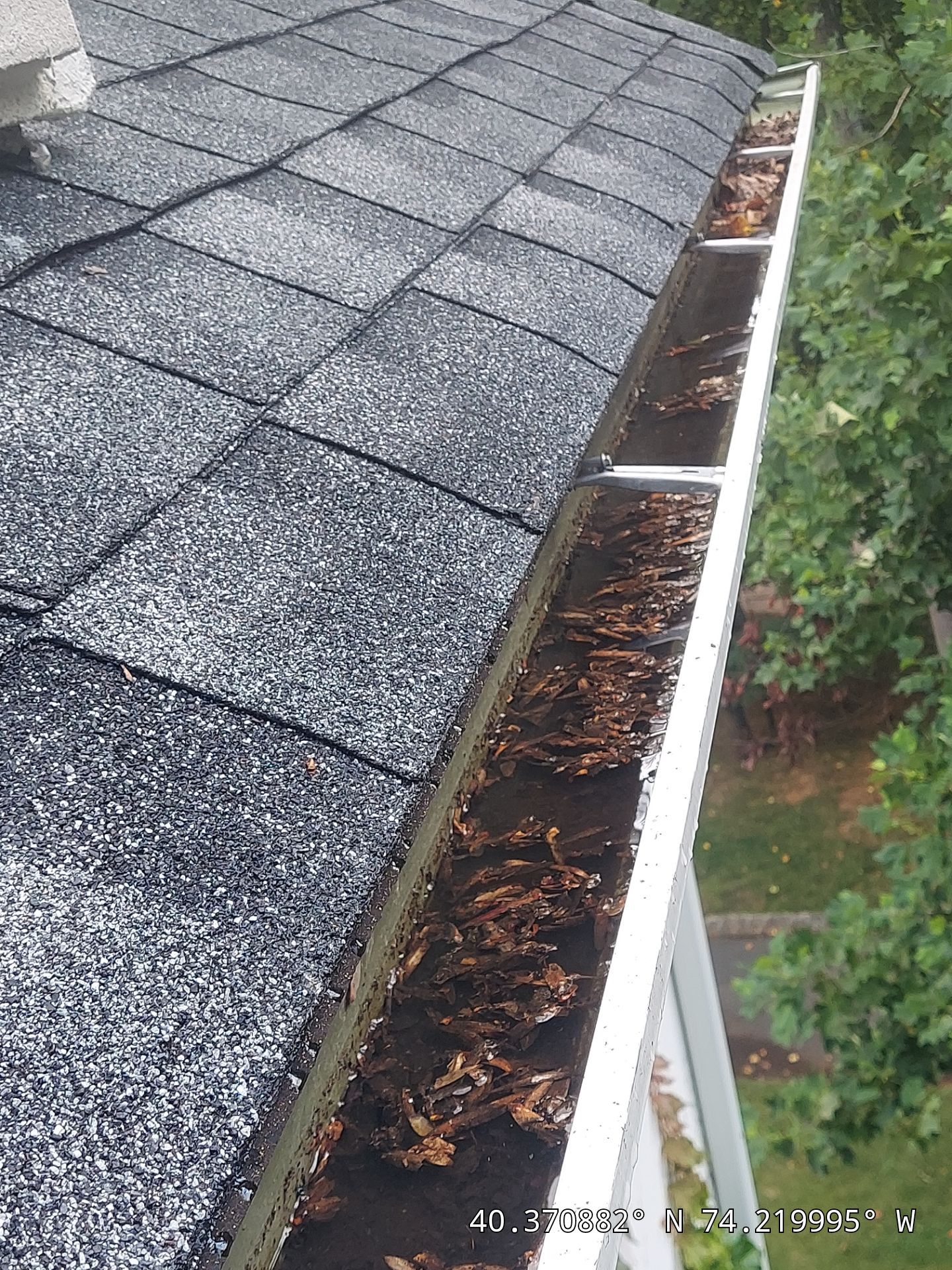 Gutter Cleaning ASAP! by Clearview Washing