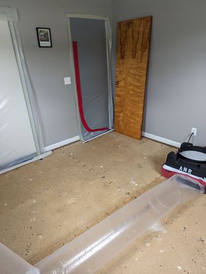 Mold Remediation in Bedroom 