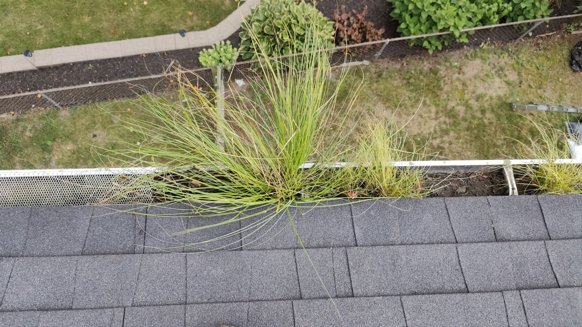 Roof Replacement using Owens Corning Onyx Black by 180 Contractors